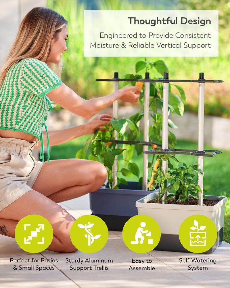 Charly Chili Self-Watering Planter with Vertical Trellis | 1.2 Gal Capacity for Peppers & Eggplants - Grey