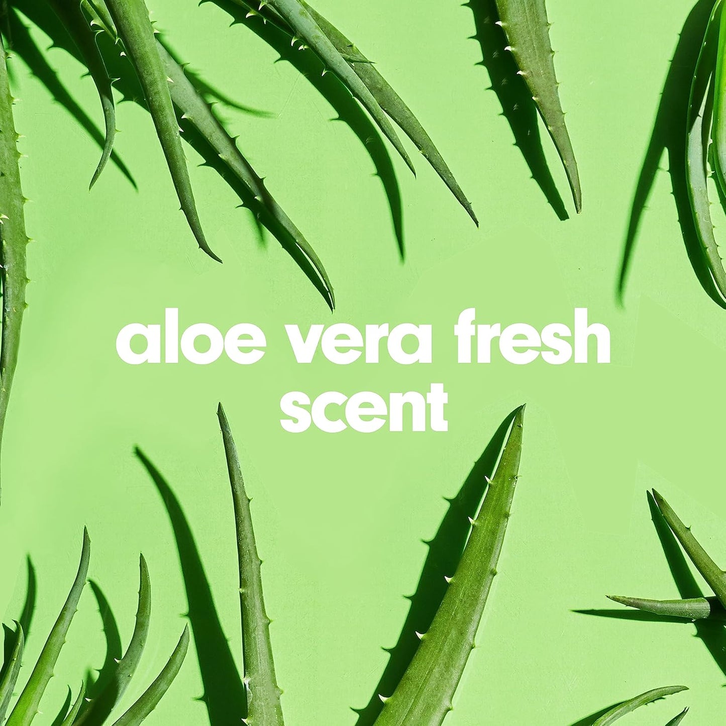 Softsoap Liquid Hand Soap Refill - Aloe Vera Fresh Scent, Soothing Clean | 1 Gallon (Pack of 2)