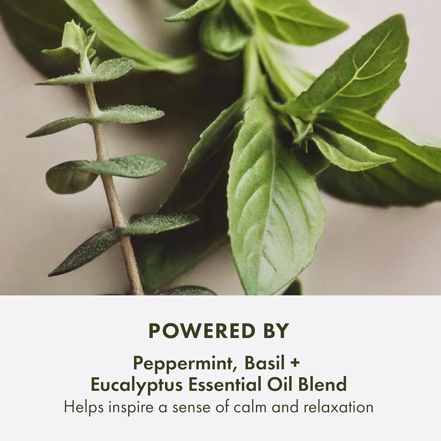 Origins Peace of Mind On-the-Spot Relief - Aromatherapy Roll-On with Eucalyptus, Peppermint & Basil | Relaxation Gift