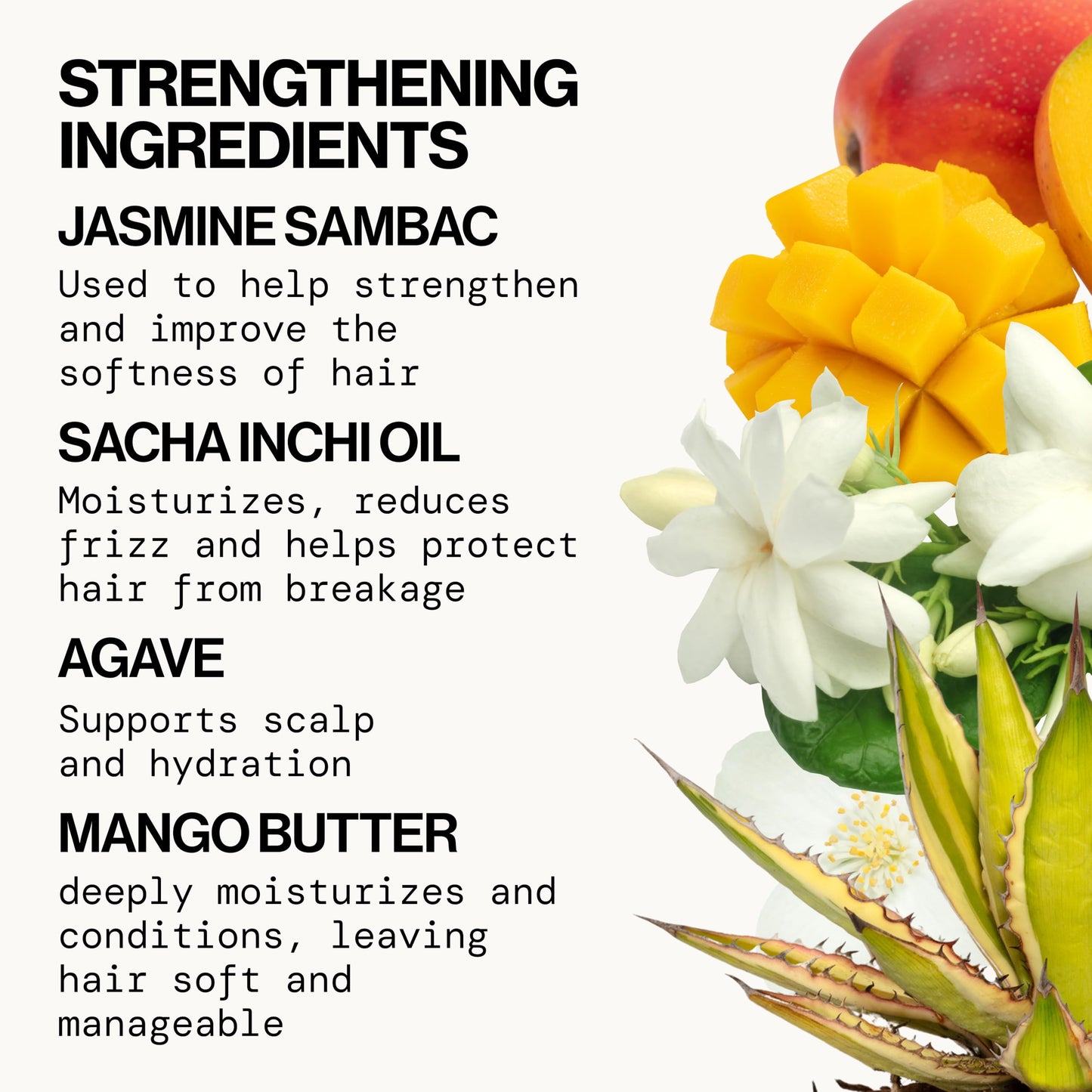 Pacifica Jasmine Agave Strengthening Shampoo & Conditioner Set – Clean Vegan Shampoo & Conditioner for Weak Or Brittle Hair (Including Color-Treated), Stronger Shinier Strands No Silicones or Parabens