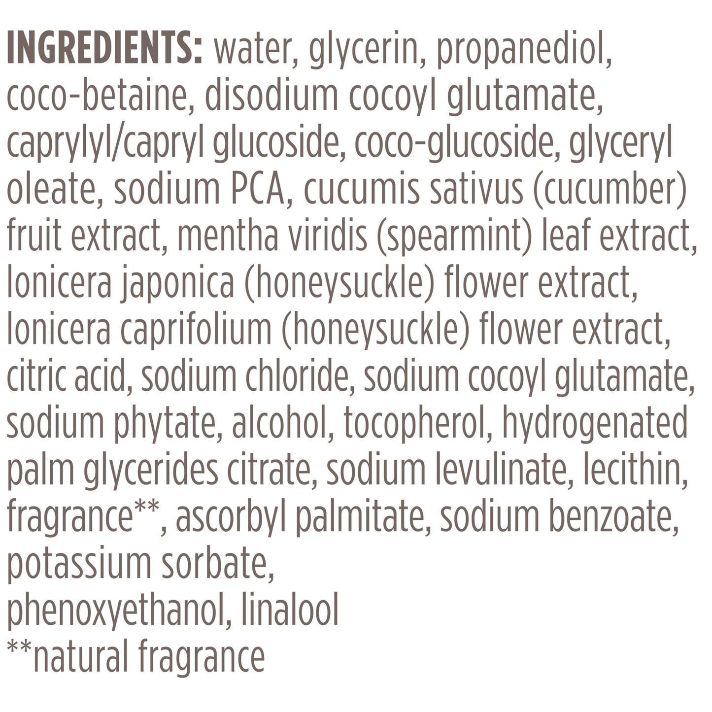 Burt's Bees Refreshing Foaming Face Cleanser and Face Wash with Cucumber and Mint, 4.8 Fluid