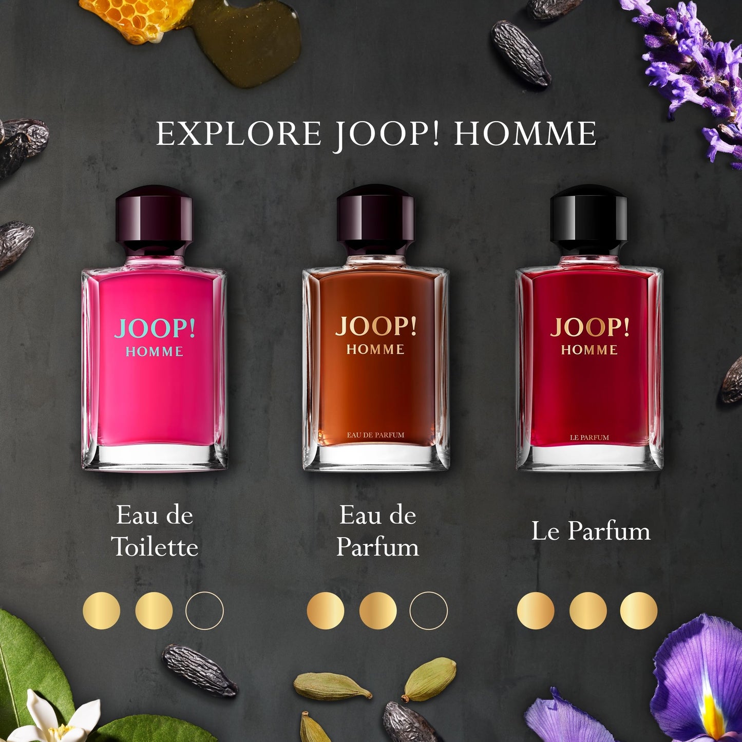 JOOP! Homme 2.5 oz EDT Spray for Men