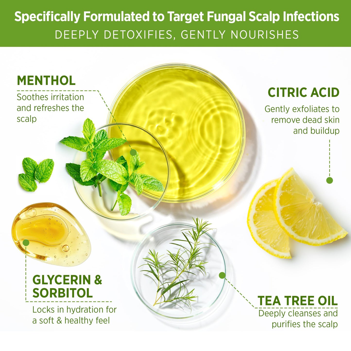 Roycederm Tea Tree Scalp Scrub with Scalp Massager Brush - Deep Cleansing & Exfoliating Pre-Shampoo Treatment for Dry, Flaky Scalp – Gently Refreshes, Hydrates & Balances Scalp