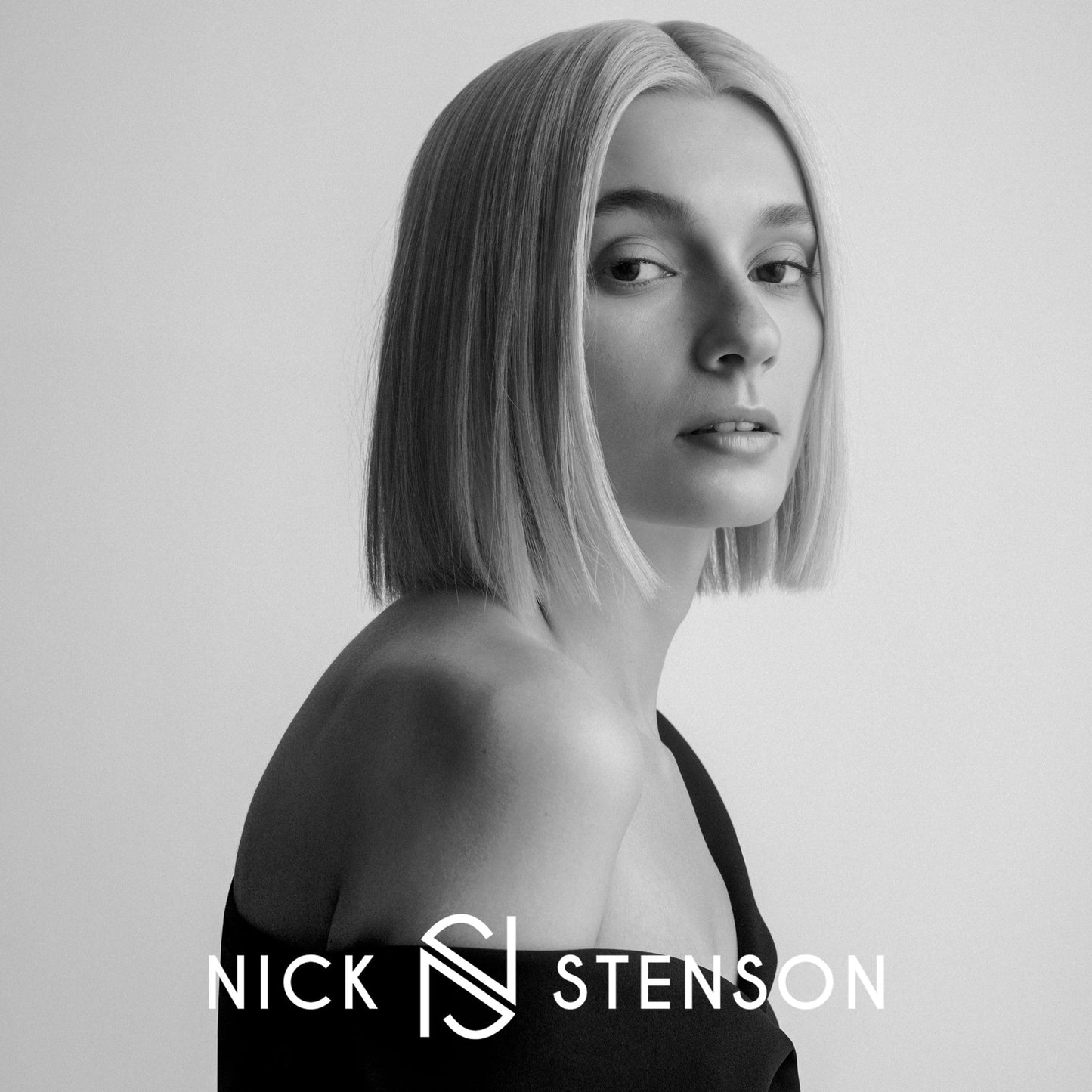 Nick Stenson Leave-In Conditioner, Hydrating Leave-In for Color-Treated & Highlighted Hair - Adds Shine, Smoothness & Provides Strength & Manageability - Color-Safe Vegan - 6 oz