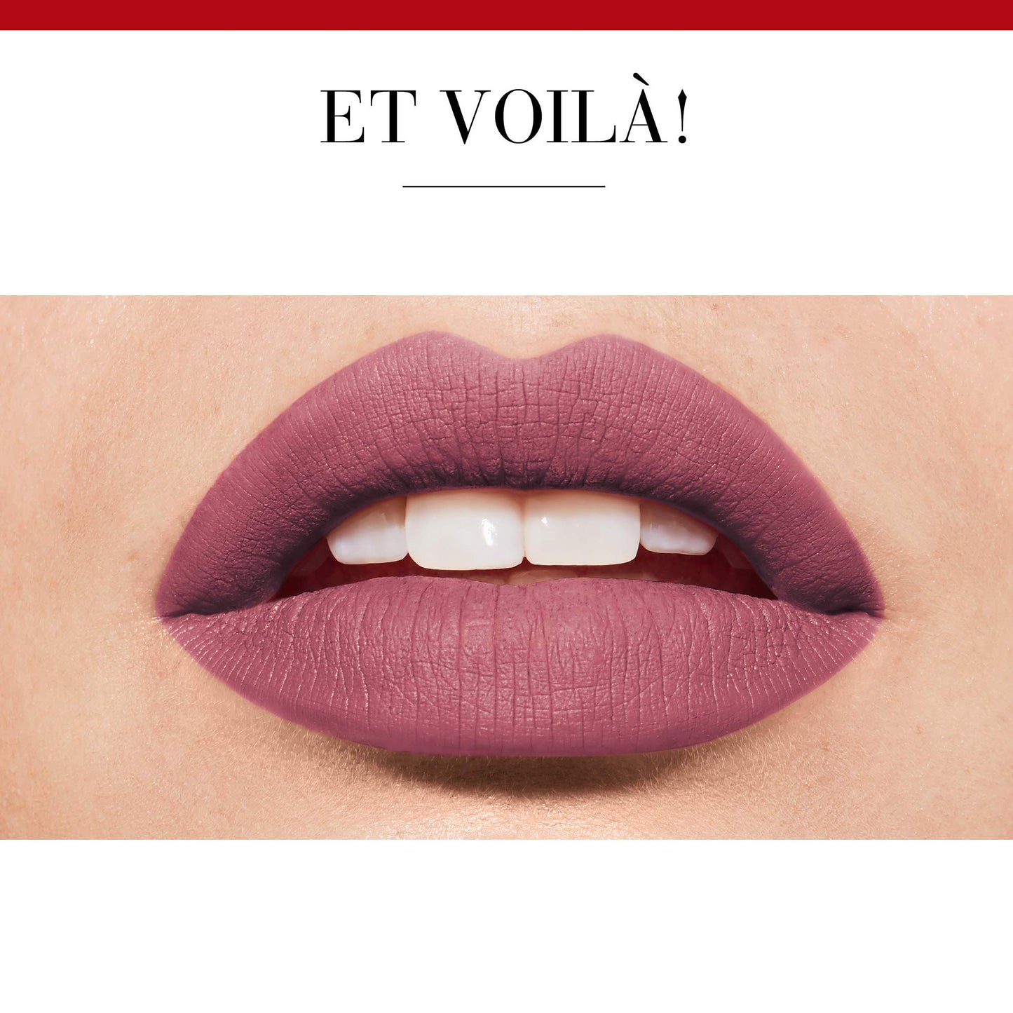 Rouge Velvet The Lipstick #19-Place Des Roses 2,4 Gr