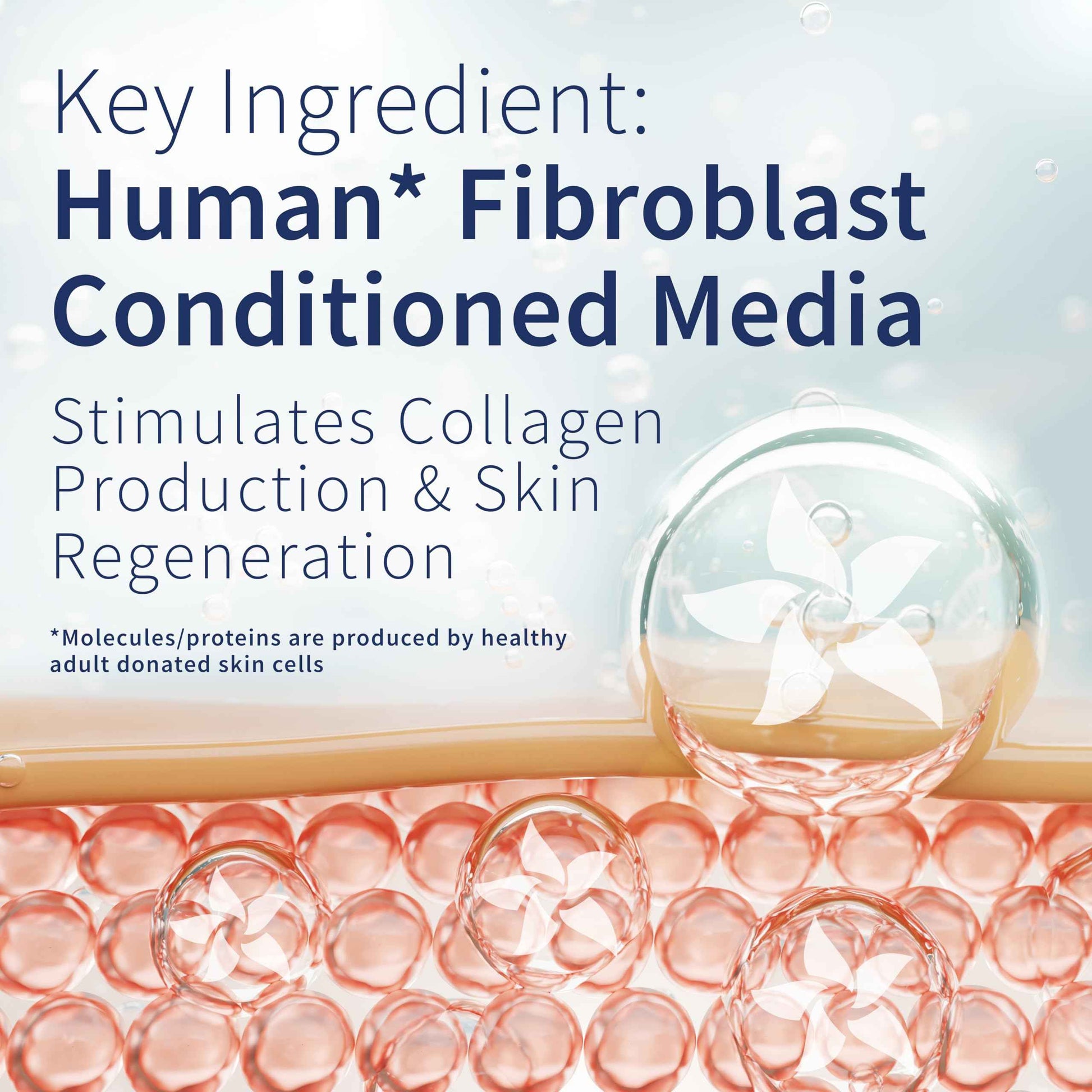 MAYTAL Moisture Lotion for Hydration, Anti-Aging - Featuring Fibroblast Technology for Collagen Boost & Skin Firmness - Reduces Fine Lines & Wrinkles - 1 fl oz