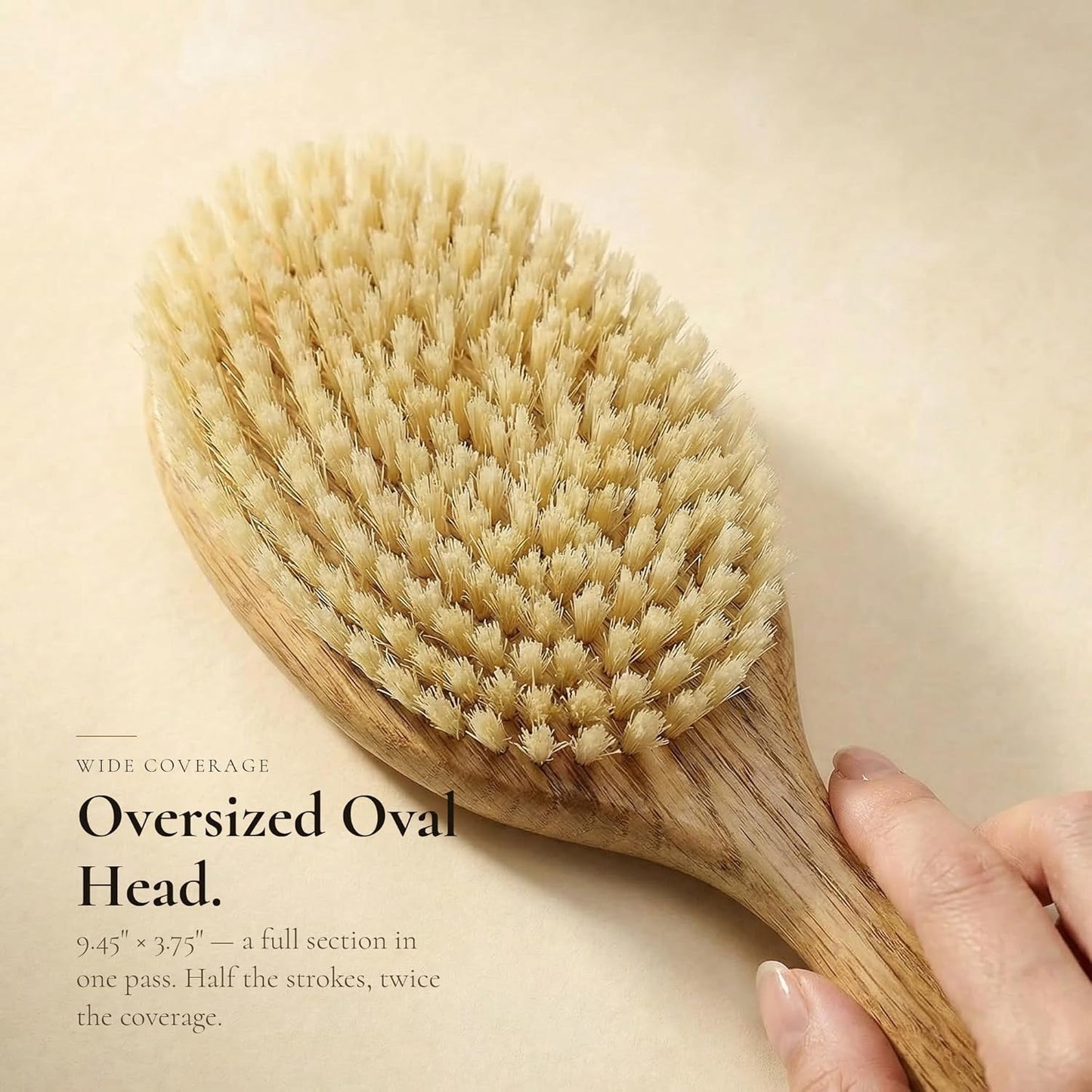 TRENFI Boar Bristle Hair Brush for Fine Thin Hair - Solid Red Oak Oval Design