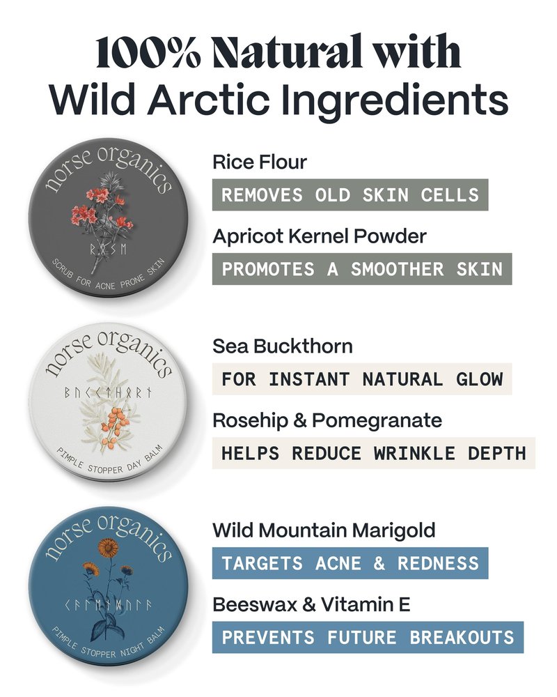 Norse Organics | The Complete System For Pimples | 3 Step System with Day Glow Balm, Acne Night Balm, Face Scrub | Natural Face Care with Arctic Herbs & Beeswax for Teens & Adults (3 pc kit)