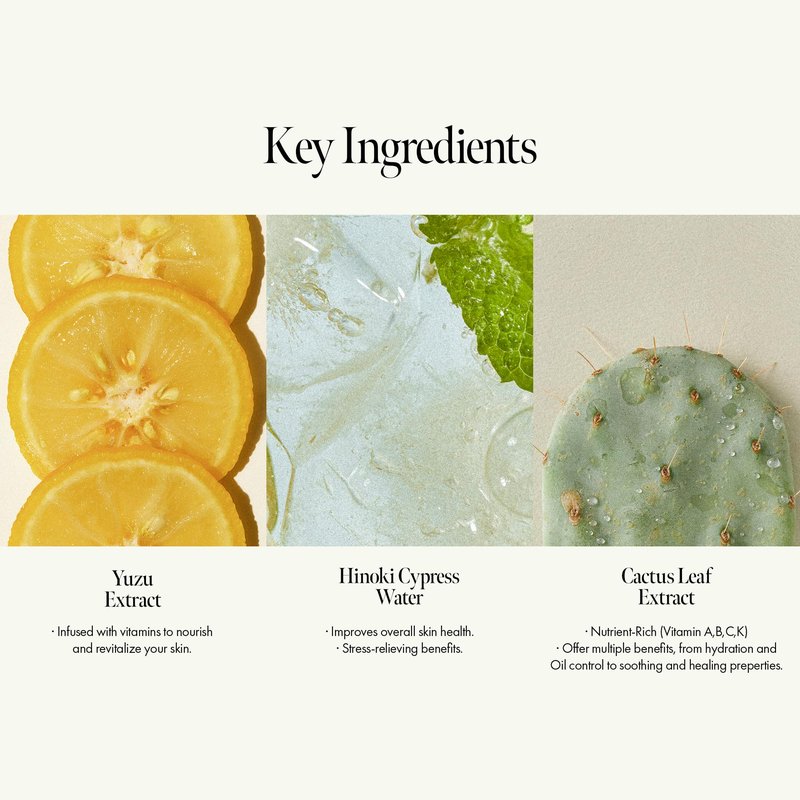 ANILLO Amber528 Body Lotion – Hydrating Yuzu & Cedarwood, Fast-Absorbing & Non-Greasy, Moisturizer with Ceramide & Hyaluronic Acid for Dry Skin, Daily Use (15.22 fl oz)