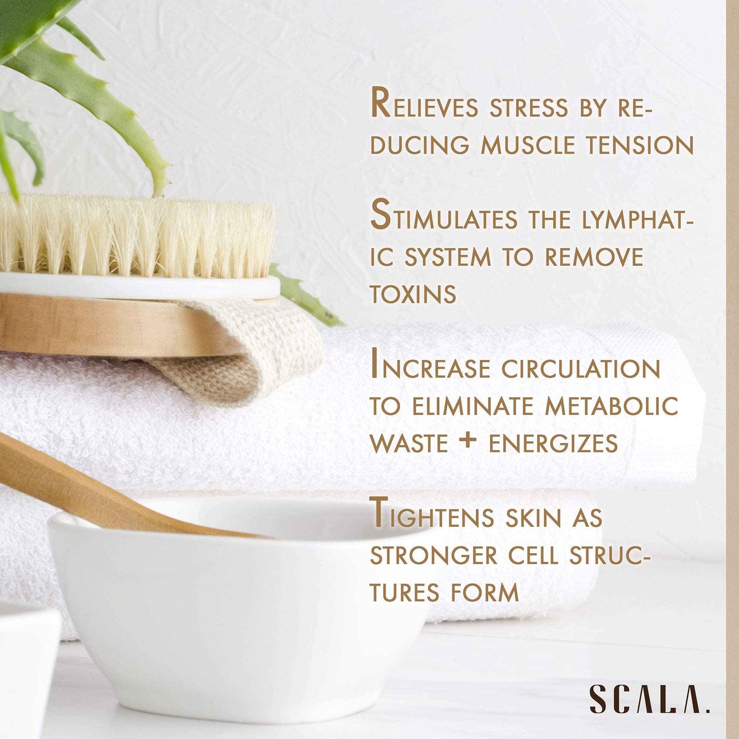 Scala Anti Cellulite and Exfoliator Bundle - Massager and Wet Dry Brush for Body Scrubber, Face and Body Massager, Exfoliates Dead Skin, Improving Circulation