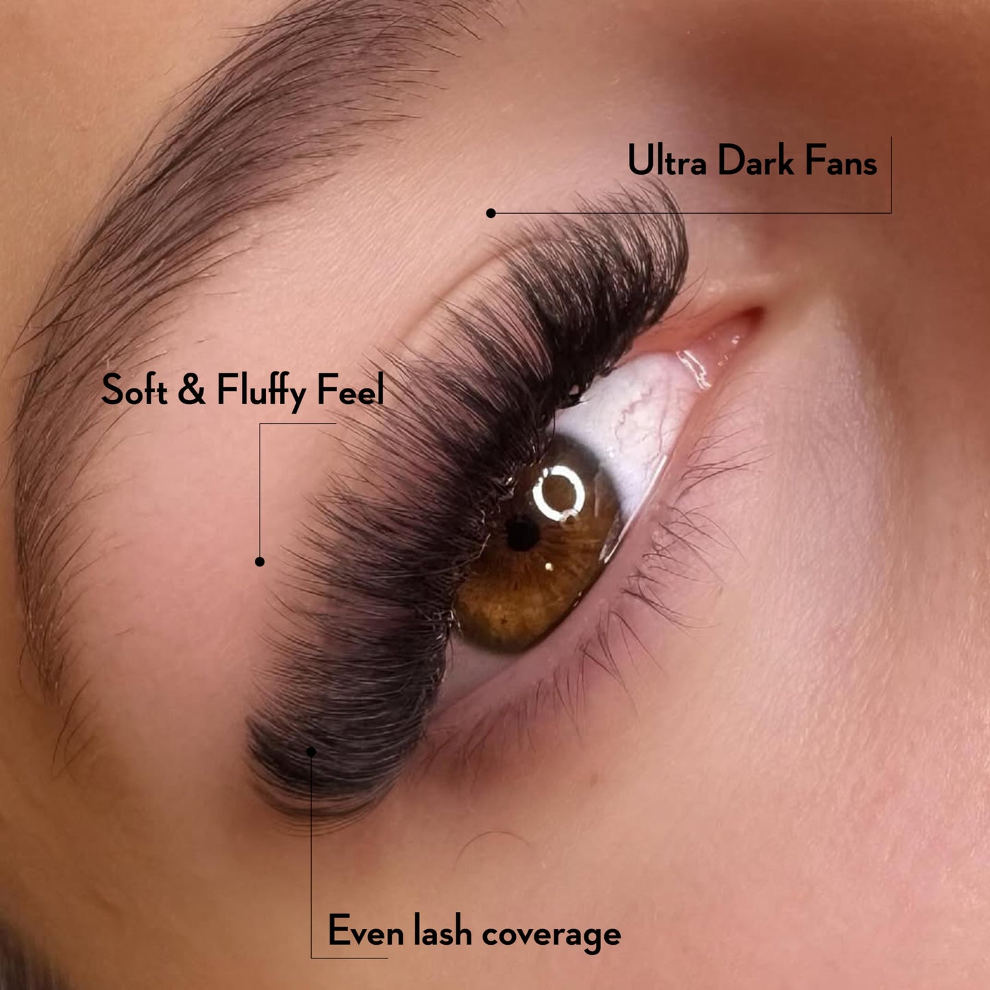 One V Salon Pro 10D Ultra-Speed Promade Fans, 1000 Premade Mega Volume Lash Fans | D Curl | 0.05 | 8–14 mm Mixed Lengths | Thin Base, Fast Application Eyelash Extensions(Ultra 10D-0.05-D Curl)