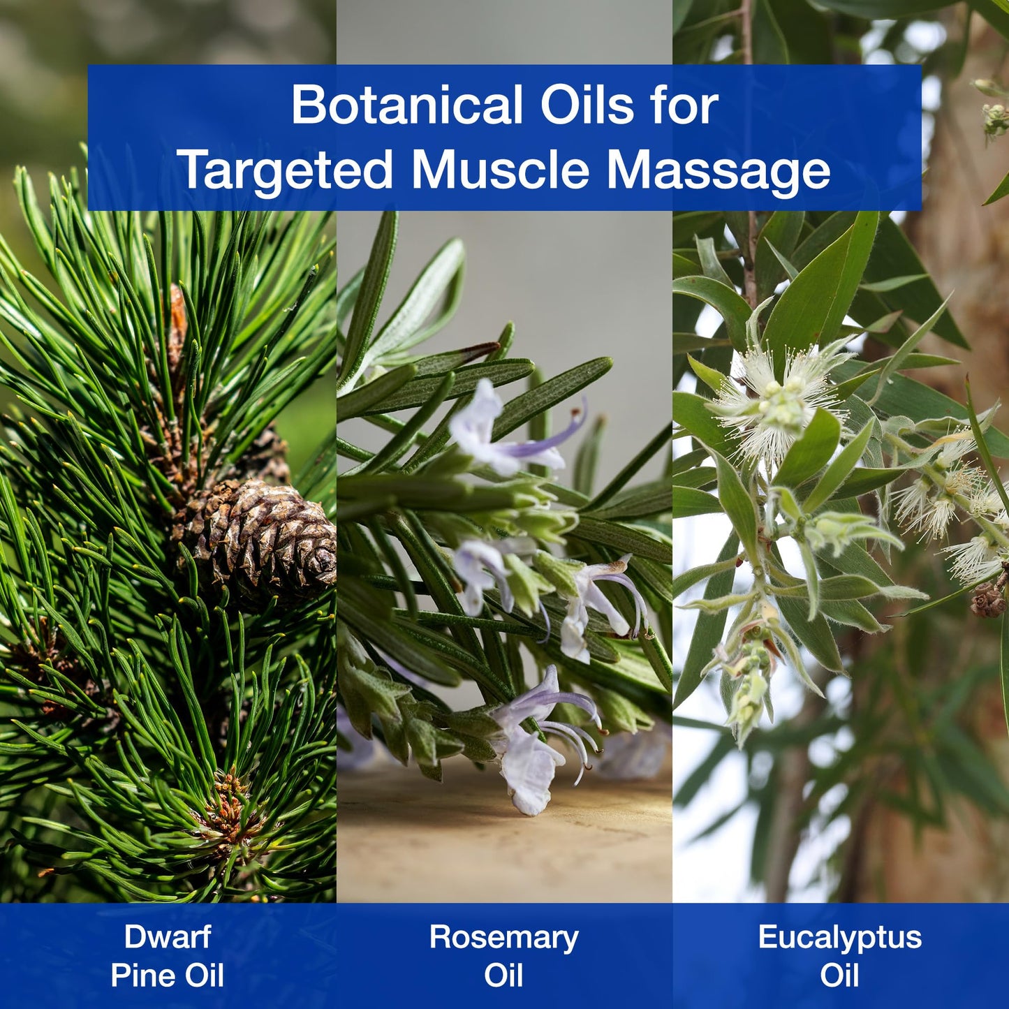 Bon Vital' Multi-Purpose Massage Crème, Professional Massage Cream with Aloe Vera to Relax Sore Muscles, Increase Circulation & Repair Dry Skin, Full Body Massage Moisturizer Cream, 1/2 Gallon Jar