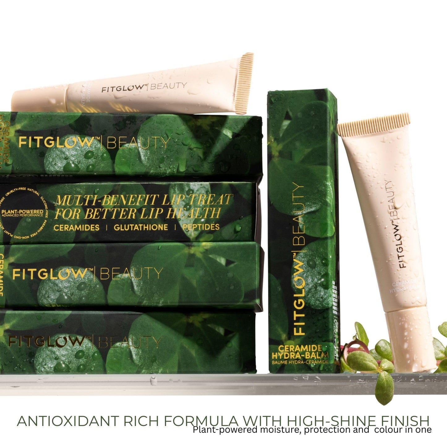 Fitglow Beauty Ceramide Hydra-Balm Lip Gloss | Hydrating Lip Serum with Peptides & Glutathione | Plumping & Anti-Aging Lip Skincare | Dry & Chapped Lip Repair | Vegan & Cruelty-Free | 12g - 24Hour