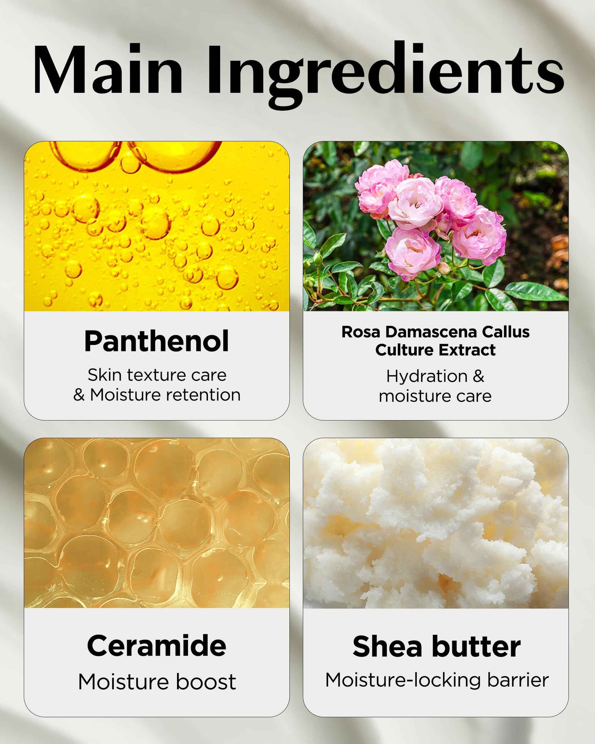 THESAEM Derma Plan Ultra Balm Cream 60ml / 2.02oz - Ceramide and Shea Butter Intensive Hydrating and Soothing Facial Cream, Vegan and Hypoallergenic Skin Care