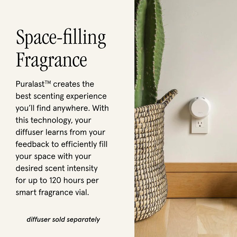 Pura and Soap & Paper Factory Home Scent Refill - Smart Air Diffuser - Up to 120-Hours of Luxury Fragrance per Refill - Home Essential - Clean & Safe Diffuser Fragrance - 2 Pack, Vanilla Fleur