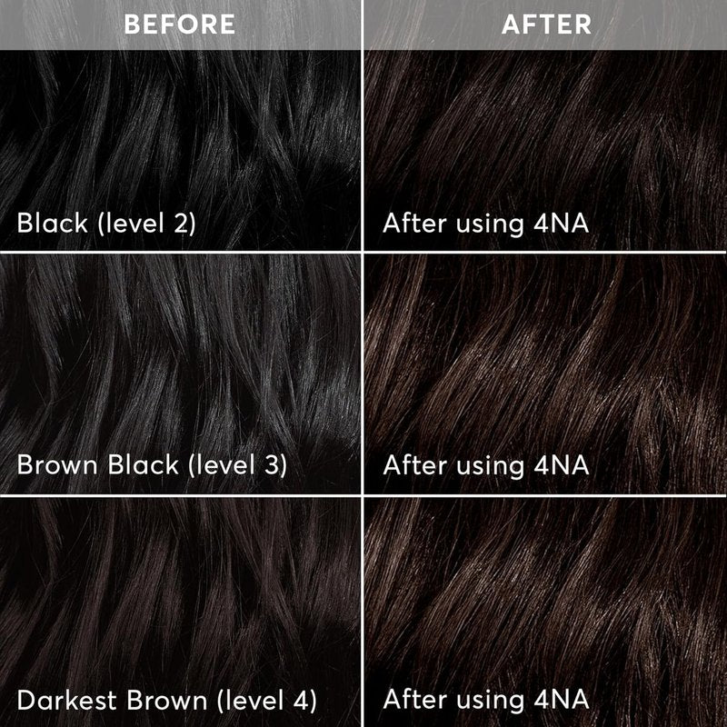 Radiant Hair Color Kit - 4NA Darkest Ash Brown Permanent Dye for Dimensional Gray Blending | PPD-Free & Ammonia-Free