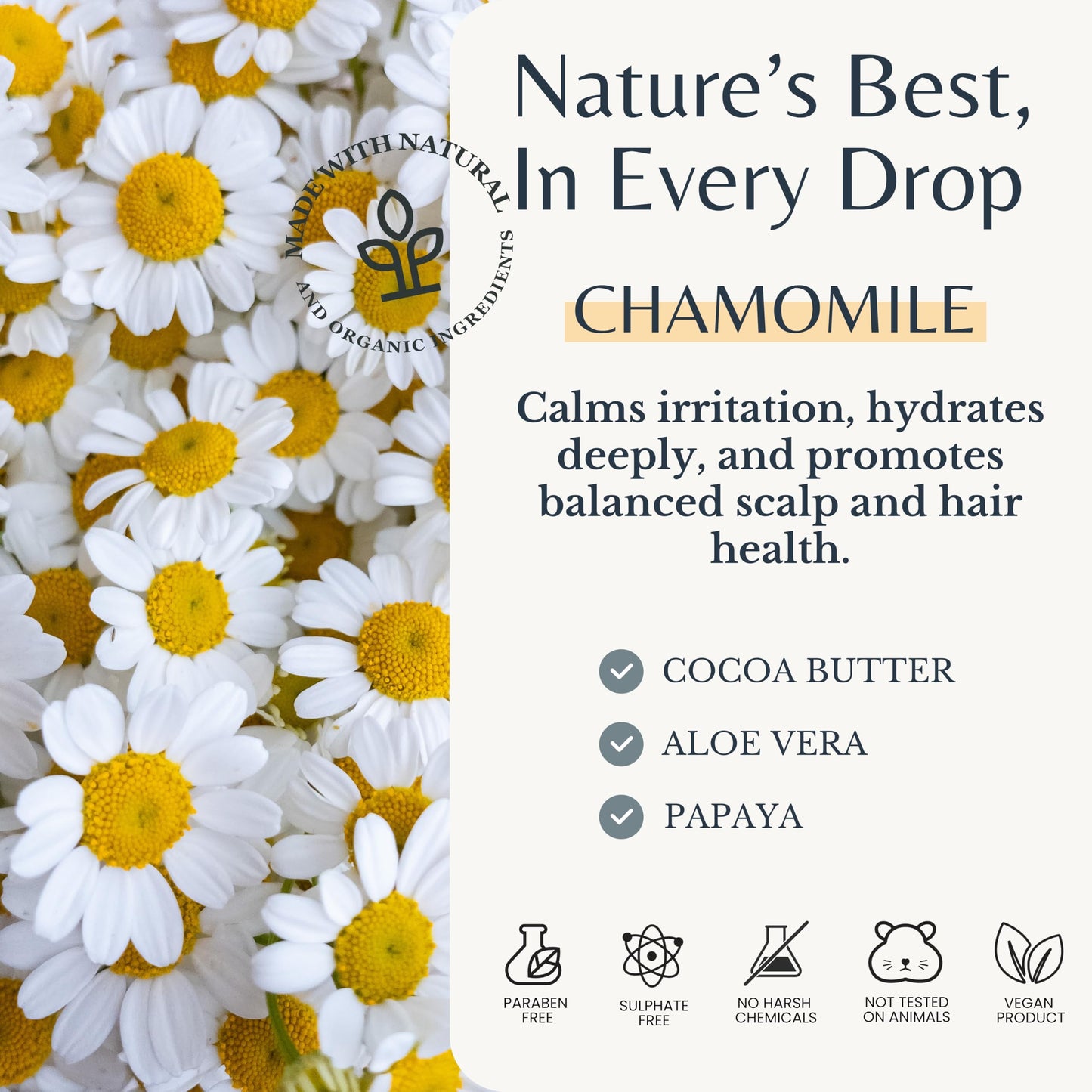 Edenika Botanicals Chamomile Shampoo with Cocoa Butter, Aloe Vera & Papaya, 16 fl oz, Calming & Hydrating Formula, Vegan, Sulfate-Free, Paraben-Free, for All Hair Types