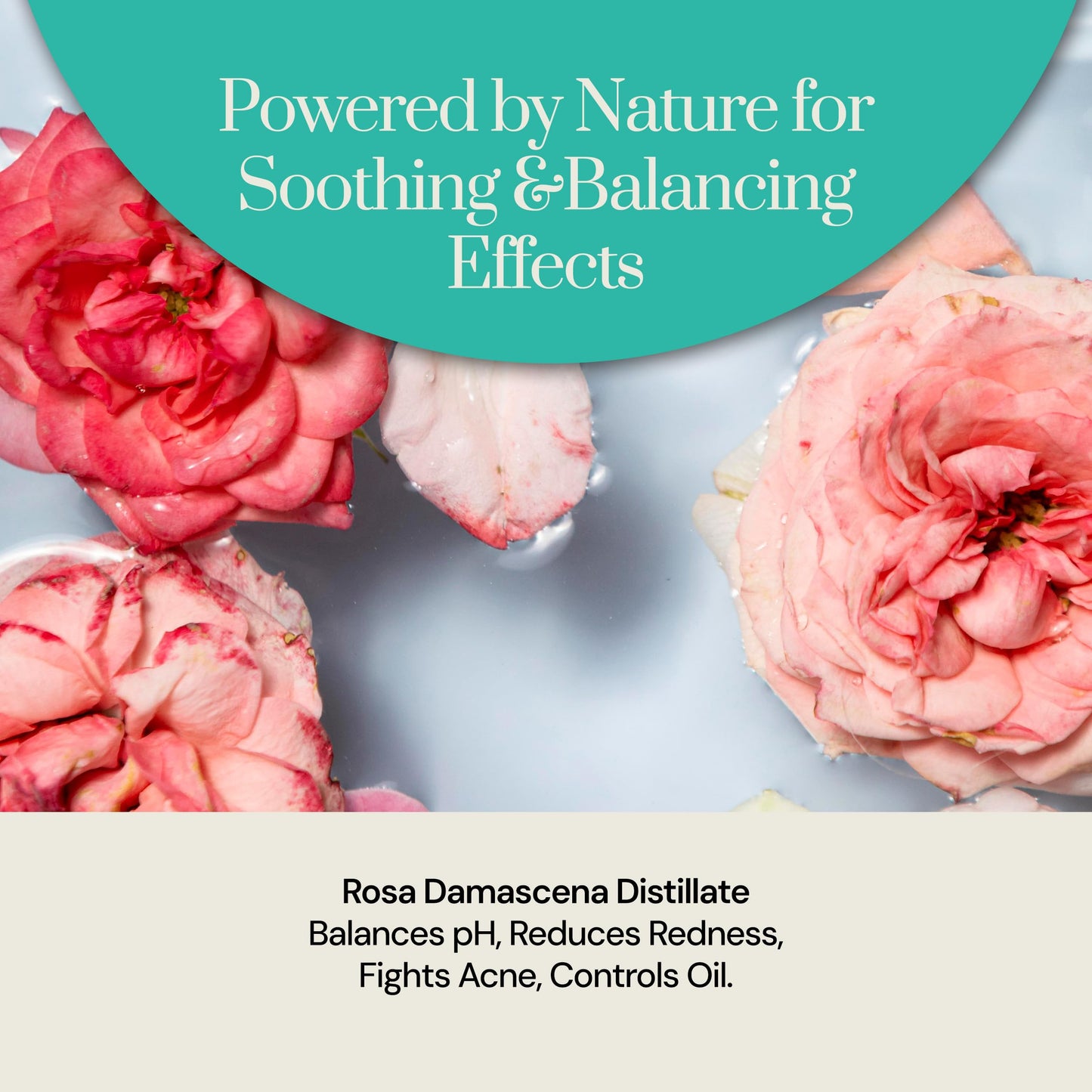 Soapstones Rosewater Toner - 120ml, Alcohol-Free, Suitable for All Skin Types - Rose Water Facial Toner for Daily Use