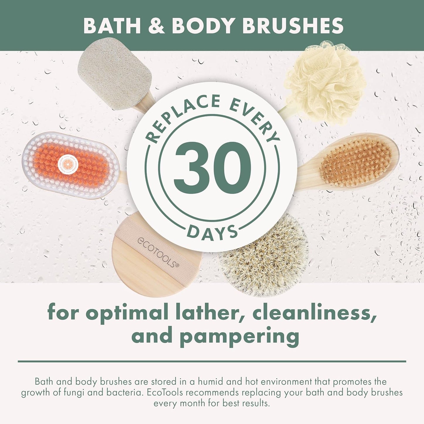EcoTools Exfoliating Bath Net, Inspired by African Bath Net Sponge, Exfoliates & Cleanses Whole Body, Flexible & Reusable, Eco-Friendly Body Scrubber, Vegan & Cruelty-Free, 1 Count