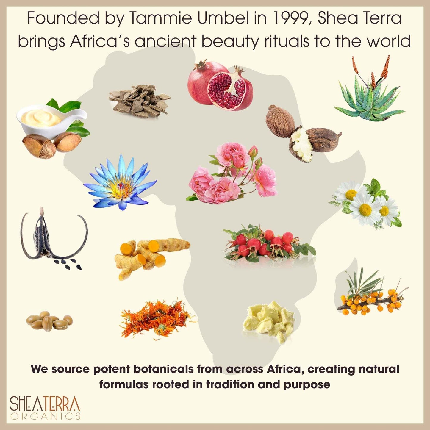 Shea Terra Organics Shea Nilotik’ Oil Scented With South African Lavender | Natural Daily Skin Moisturizer & Conditioner for Face, Hair & Body – 8 oz