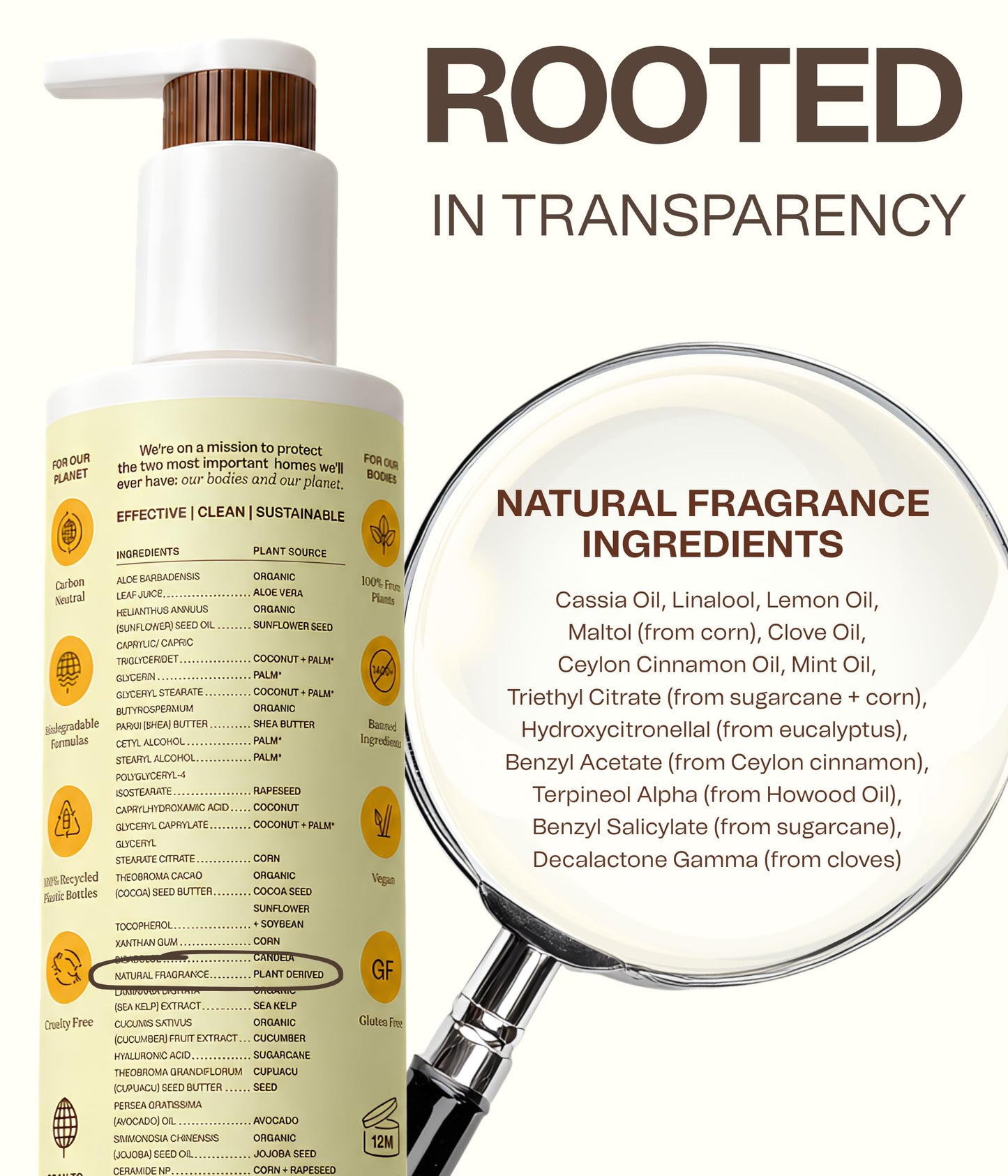 Ingreendients Organic Shea Butter Body Lotion For Dry and Sensitive Skin – Vegan, Cruelty-Free, Natural, Effectively Moisturizes and Rejuvenates Skin