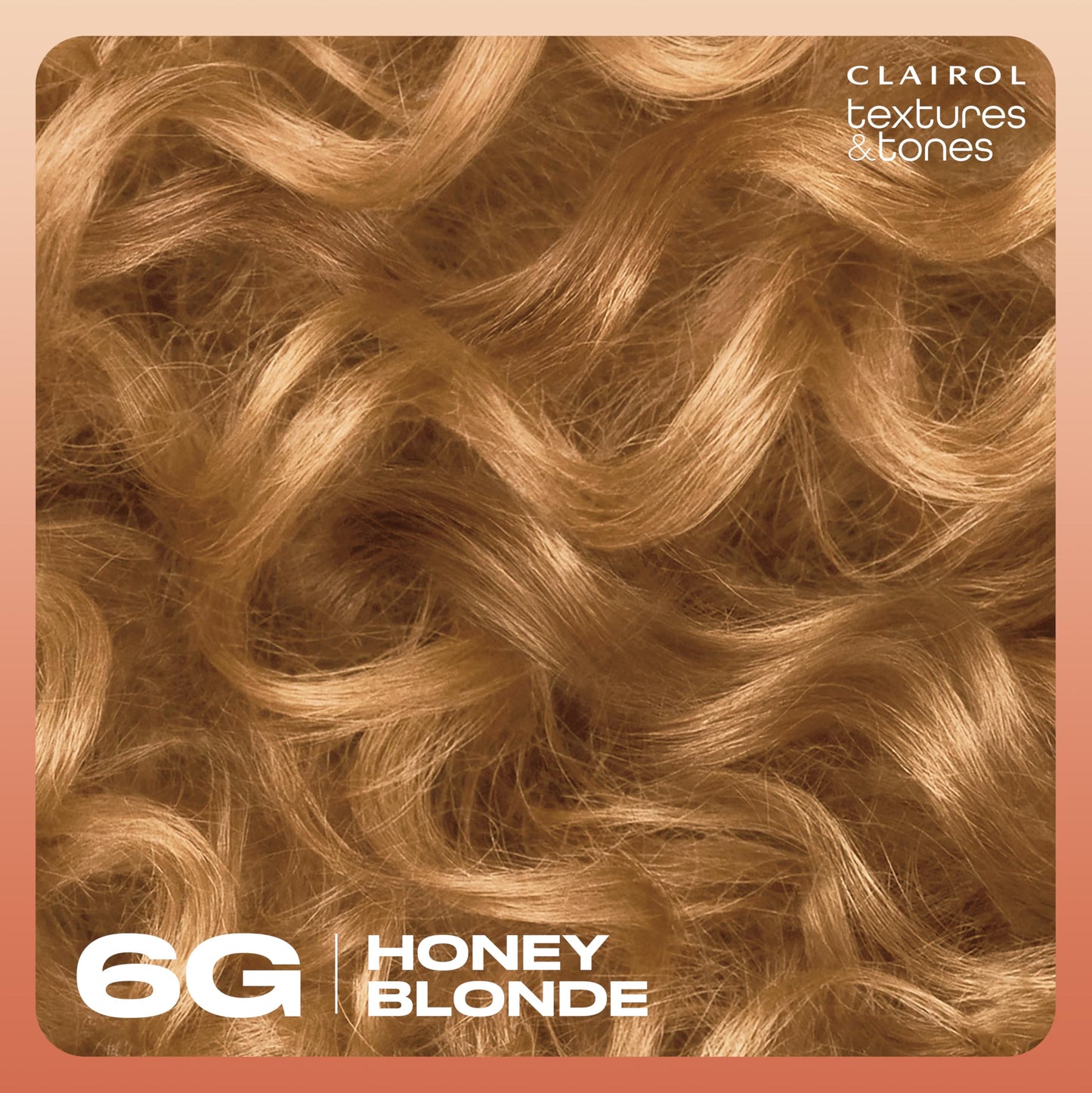 Clairol Textures & Tones Permanent Hair Dye, 6G Honey Blonde Hair Color | Ammonia-Free | Moisture-Rich Formula with Argan, and Olive Oil for Brilliant Shine | Pack of 1