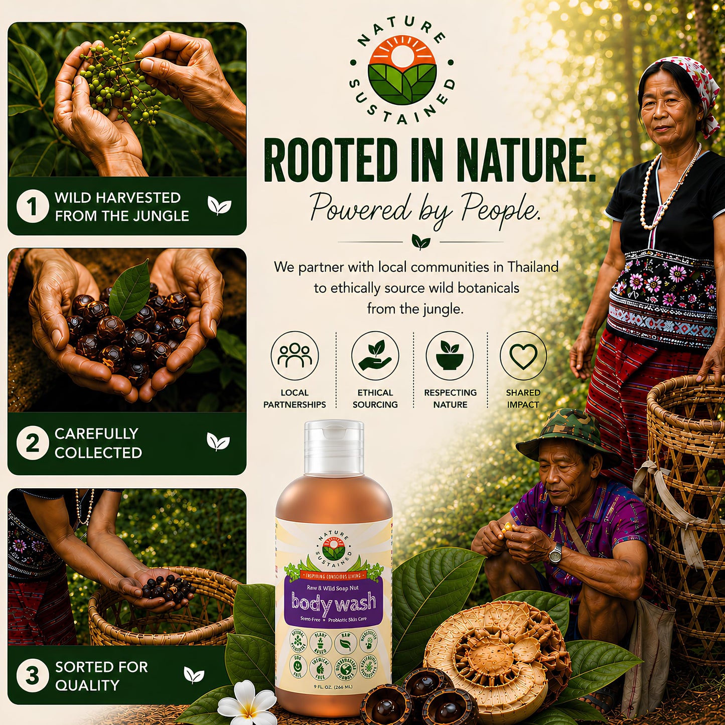 Nature Sustained Organic Body Wash & Face Wash – Raw & Wildcrafted with Probiotics, Soapberry Formula for Eczema & Psoriasis - Wild Plants Selected for Sensitive & Dry Skin, 9oz, Original