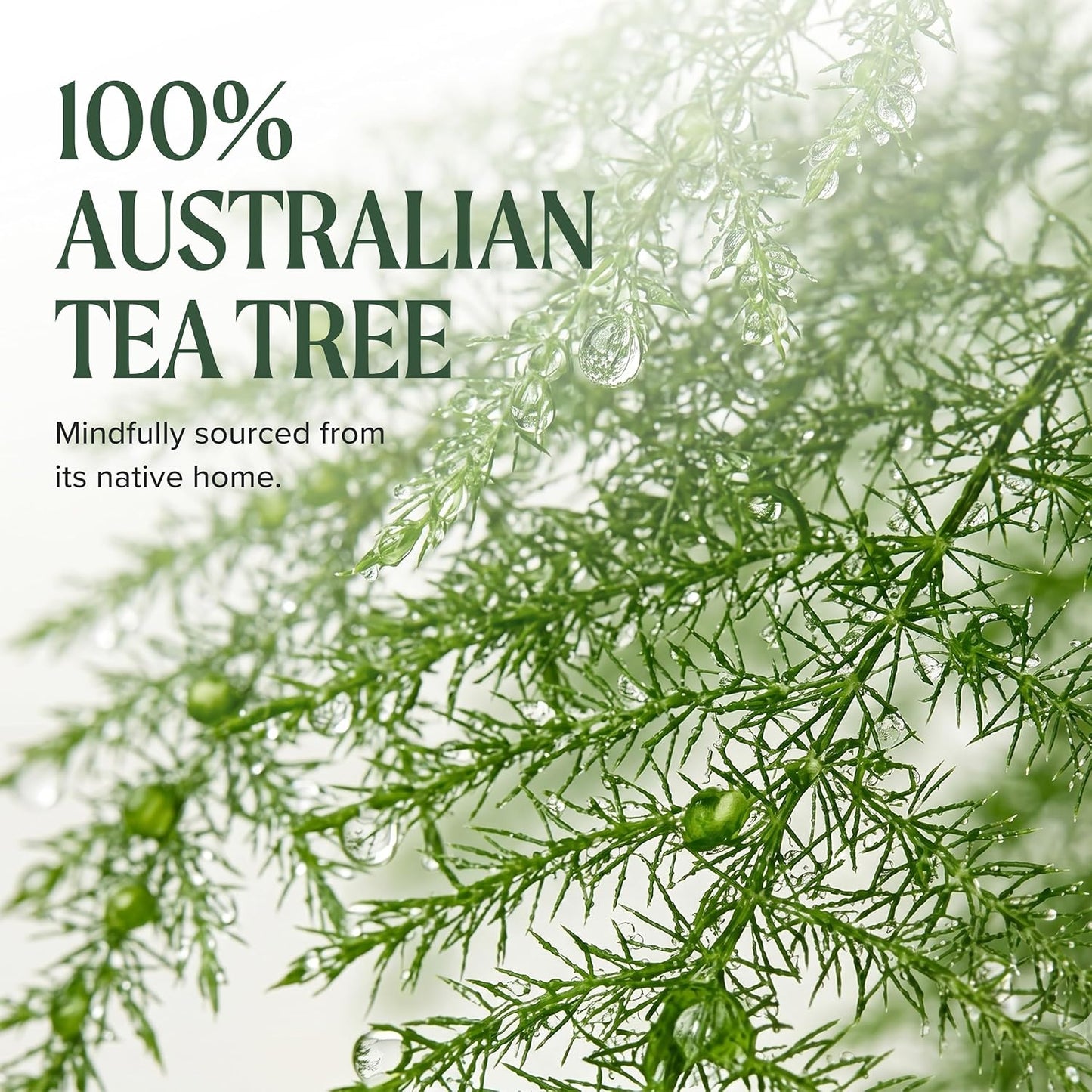 Tea Tree Leave-In Conditioner & Body Lotion - Moisturizer for All Hair & Skin Types
