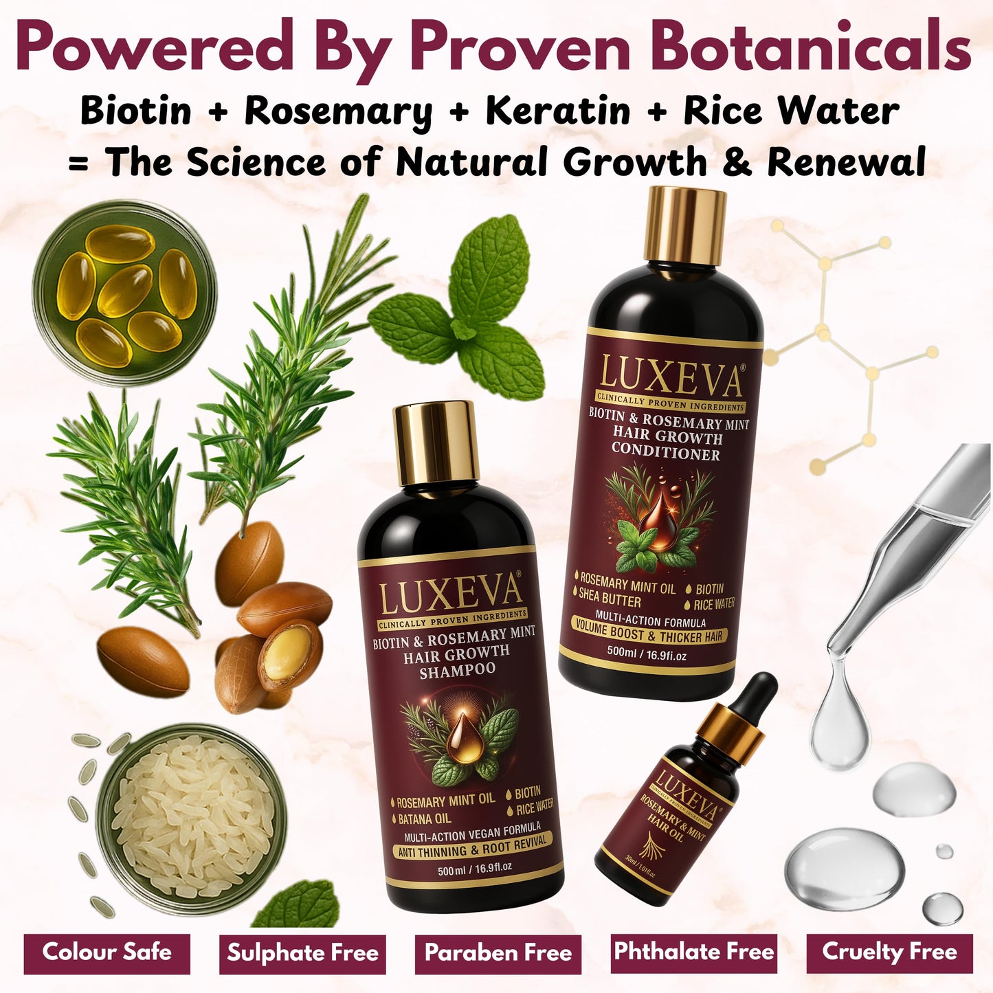 LUXEVA 3 in 1 Biotin & Rosemary Mint Shampoo & Conditioner Set For Women | Professional Botanical Hair Growth Shampoo and Conditioner For Thinning Hair, Scalp Health & Natural Volume | 16oz Each