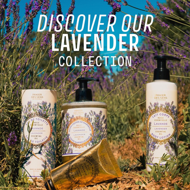 Panier des Sens Lavender Hand Soap - Premium Liquid Soap for Kitchen and Bathroom – French Savon de Marseille, Natural Hand Wash (97% Ingredients), Gentle & Moisturizing, 16.9 fl oz
