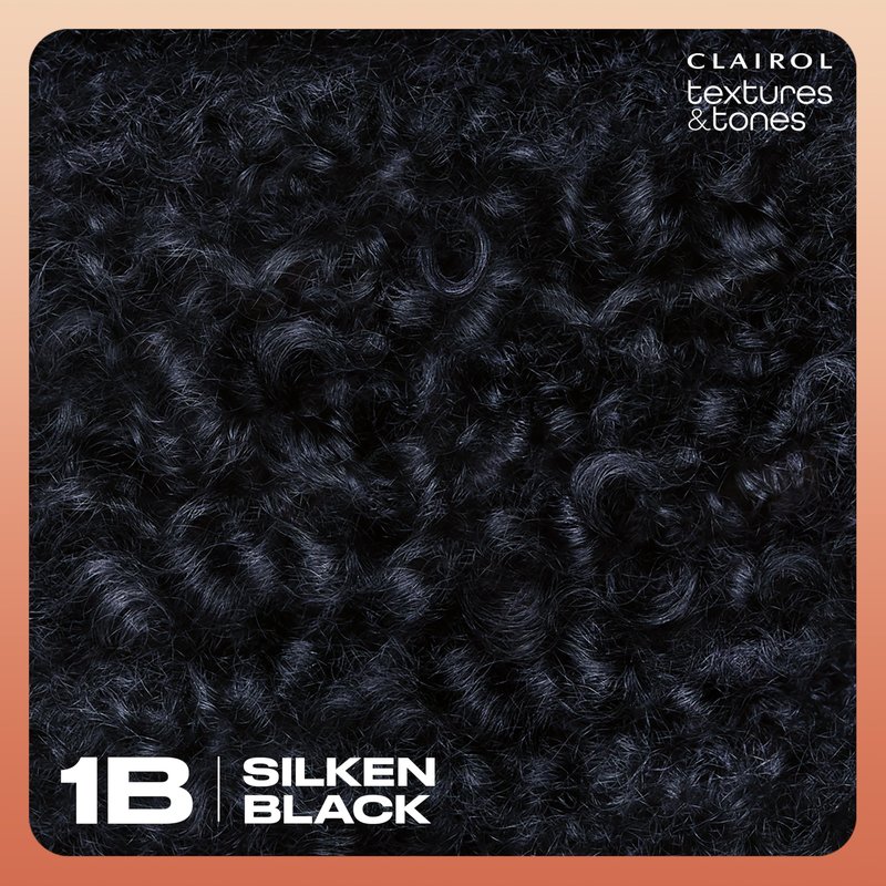 Clairol Textures & Tones Permanent Hair Dye, 1B Silken Black Hair Color | Ammonia-Free | Moisture-Rich Formula with Argan, and Olive Oil for Brilliant Shine | Pack of 1