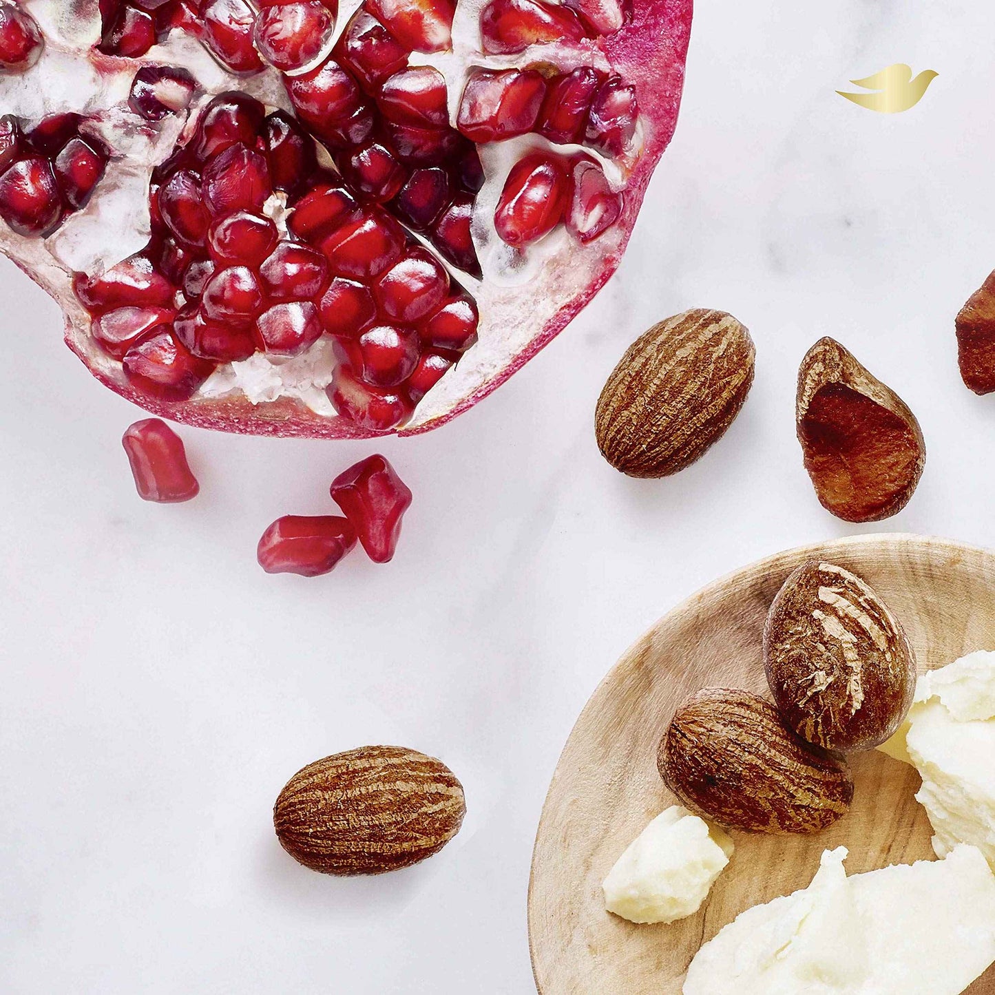 Dove Exfoliating Body Polish Scrub For Silky, Soft Skin Pomegranate & Shea Butter Body Scrub Exfoliates and Provides Lasting Nourishment 10.5 oz