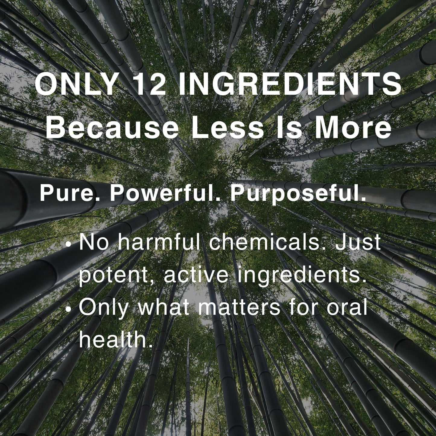 OJOOK Bamboo Salt Toothpaste with nHA | Fluoride Free, Nano Hydroxyapatite, Remineralizing, Sensitive Teeth, Whitening - Dentist Recommended Oral Care - Pepperming & Pine Flavor, 3 Fl Oz 1 Pk