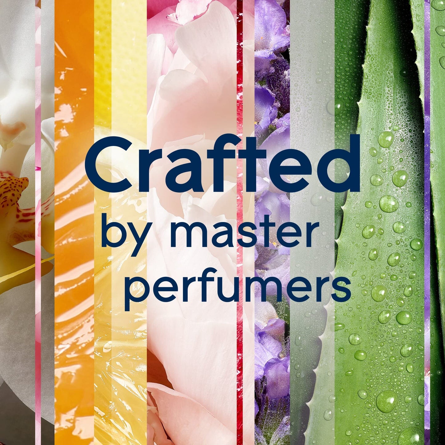 Glade PlugIns Refills Air Freshener Starter Kit, Scented Oil for Home and Bathroom, Clean Linen, 0.67 Fl Oz, 1 Warmer + 1 Refill