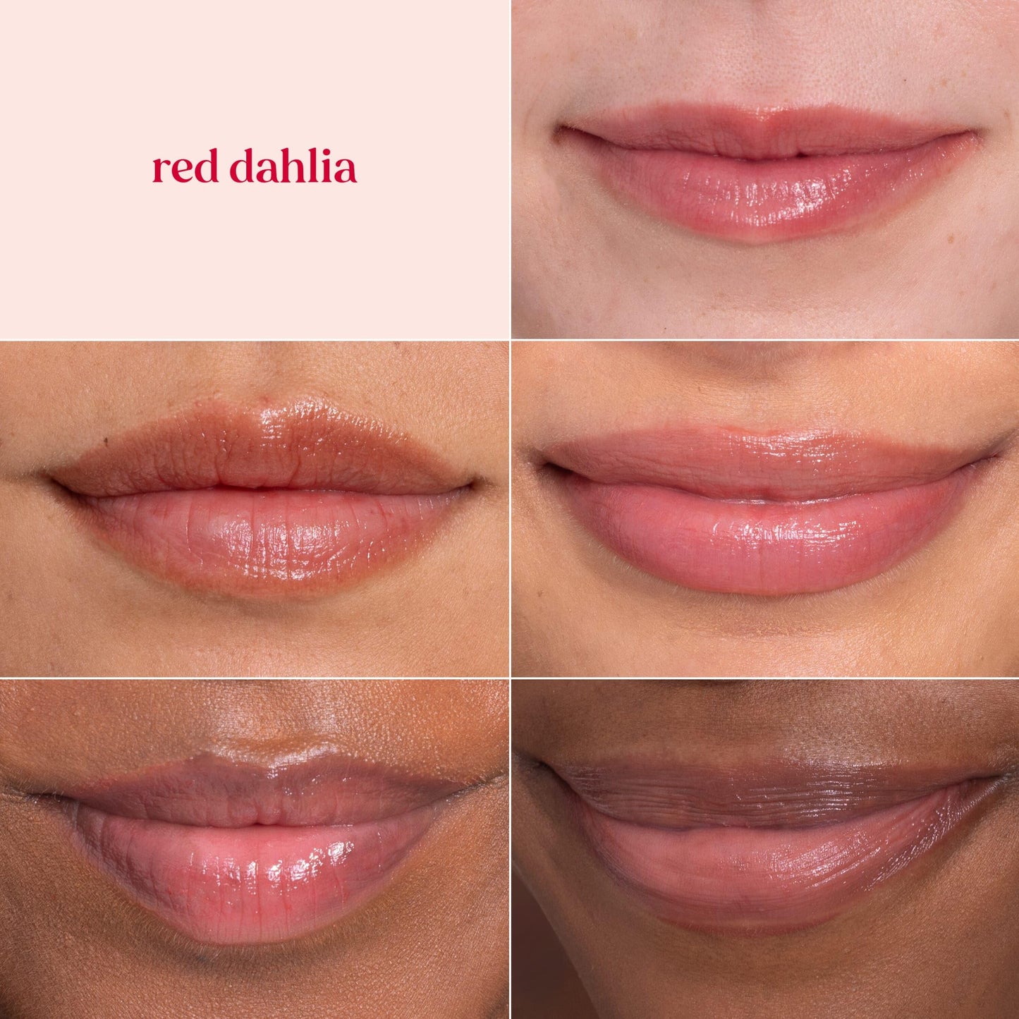 Burt's Bees Lip Tint Balm with Long Lasting 2 in 1 Duo Tinted Balm Formula, Color Infused with Deeply Hydrating Shea Butter for a Natural Looking Buildable Finish, Fiery Red Dahlia (2-Pack)