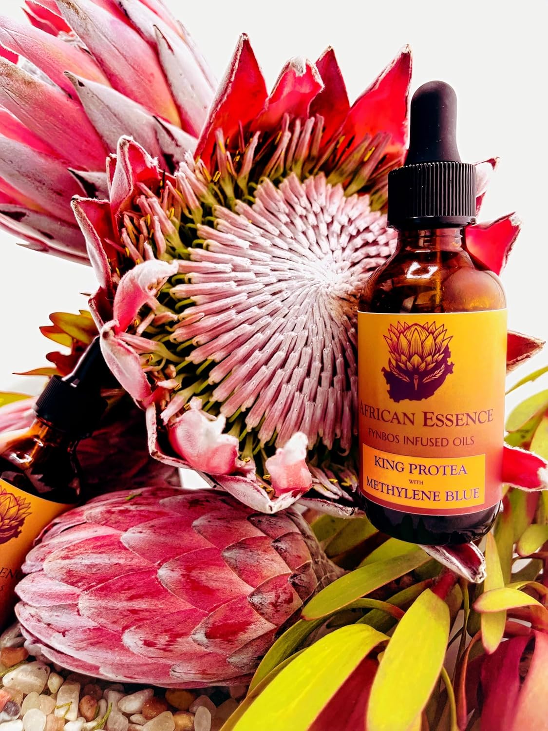 Methylene Blue Skin Serum - Hydrating Glass Skin Serum with African Protea | Age-Defying Moisturizer