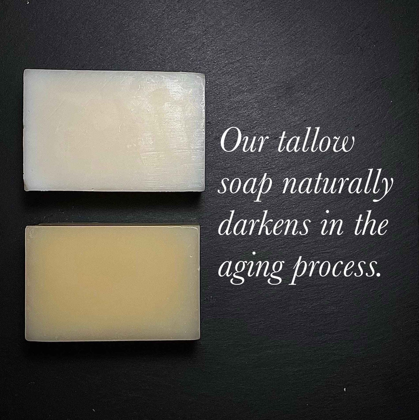 BUFF BAR Bison Tallow Buff Soap Bar, Unscented, (2 pack) - Cleans, Moisturizing, Non-Habit Forming, Soothes, Hydration, Naturally Derived - No Dyes, Chemicals, Fragrances, Preservatives