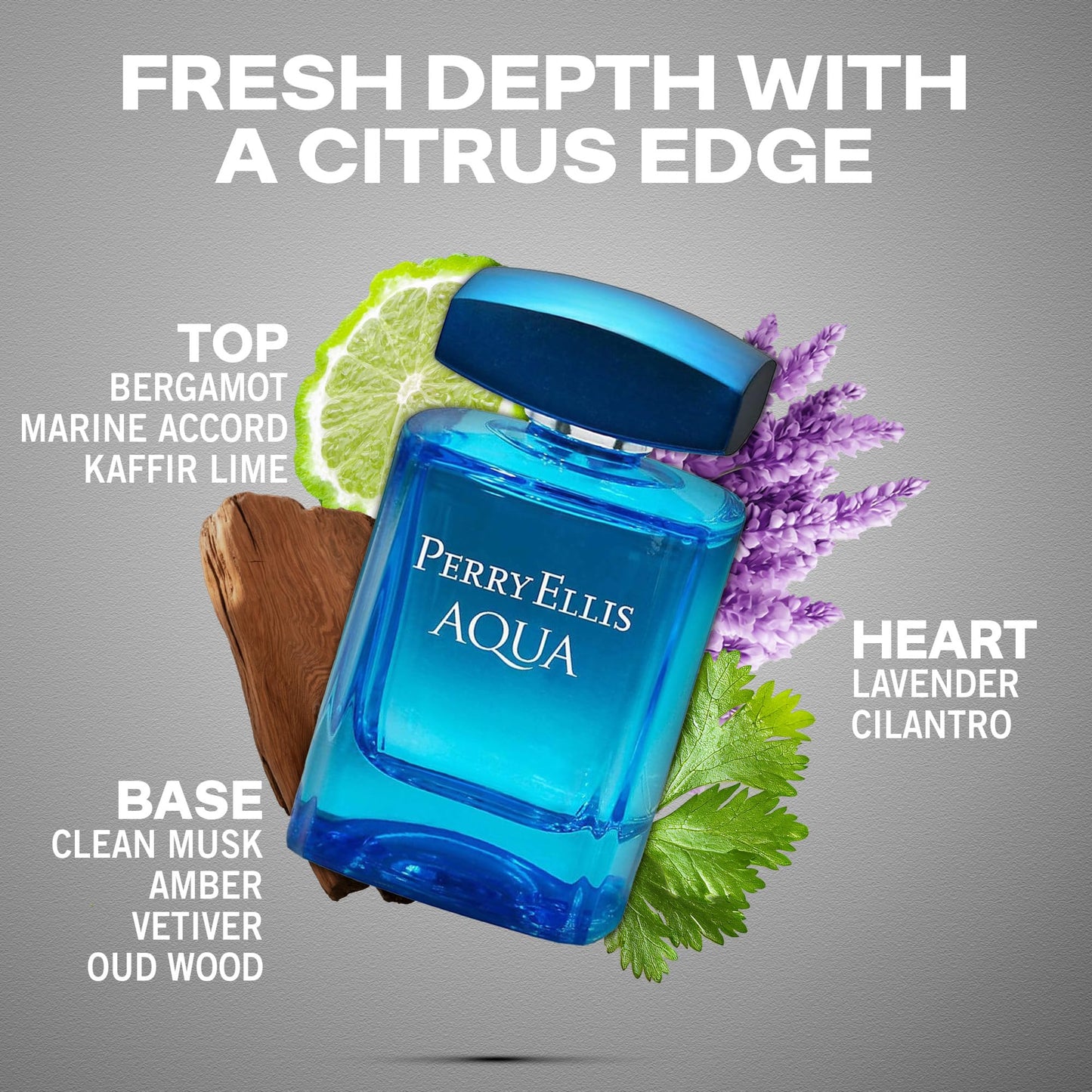 Perry Ellis Aqua Eau De Toilette Spray for Men - Mens Cologne, Long Lasting Perfume, EDT, Fragrance with Notes of Bergamot, Wood Notes & Musk - 3.4 fl oz (100 mL)
