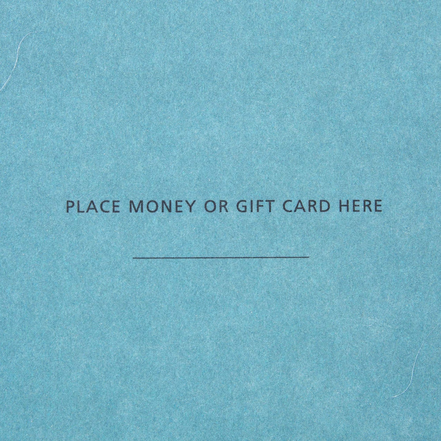 Hallmark 0599XXH3002 Mahogany Money Holder or Gift Card Holder Greeting Cards Assortment (6 Money or Gift Card Holder Cards, 6 Envelopes)