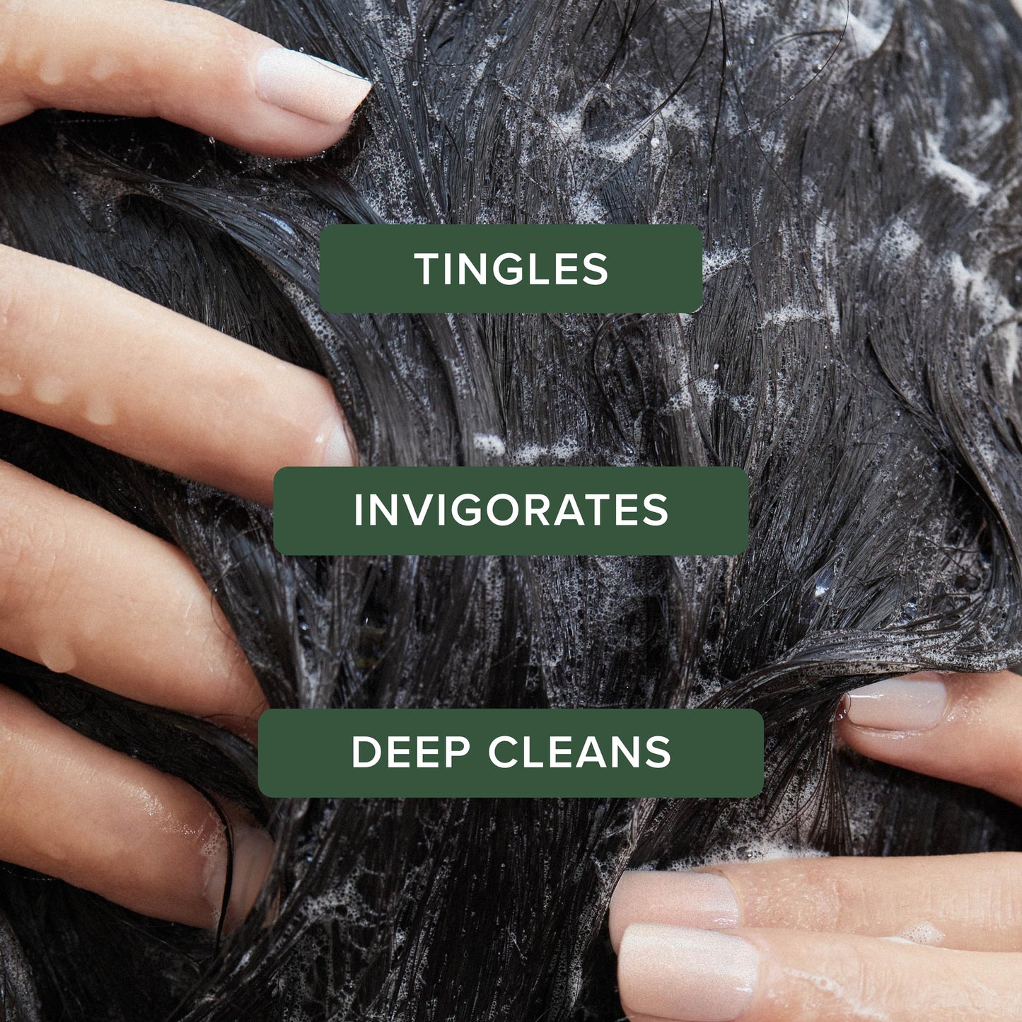 Tea Tree Special Shampoo, Deep Cleans, Refreshes Scalp, For All Hair Types, Especially Oily Hair, 16.9 fl. oz.