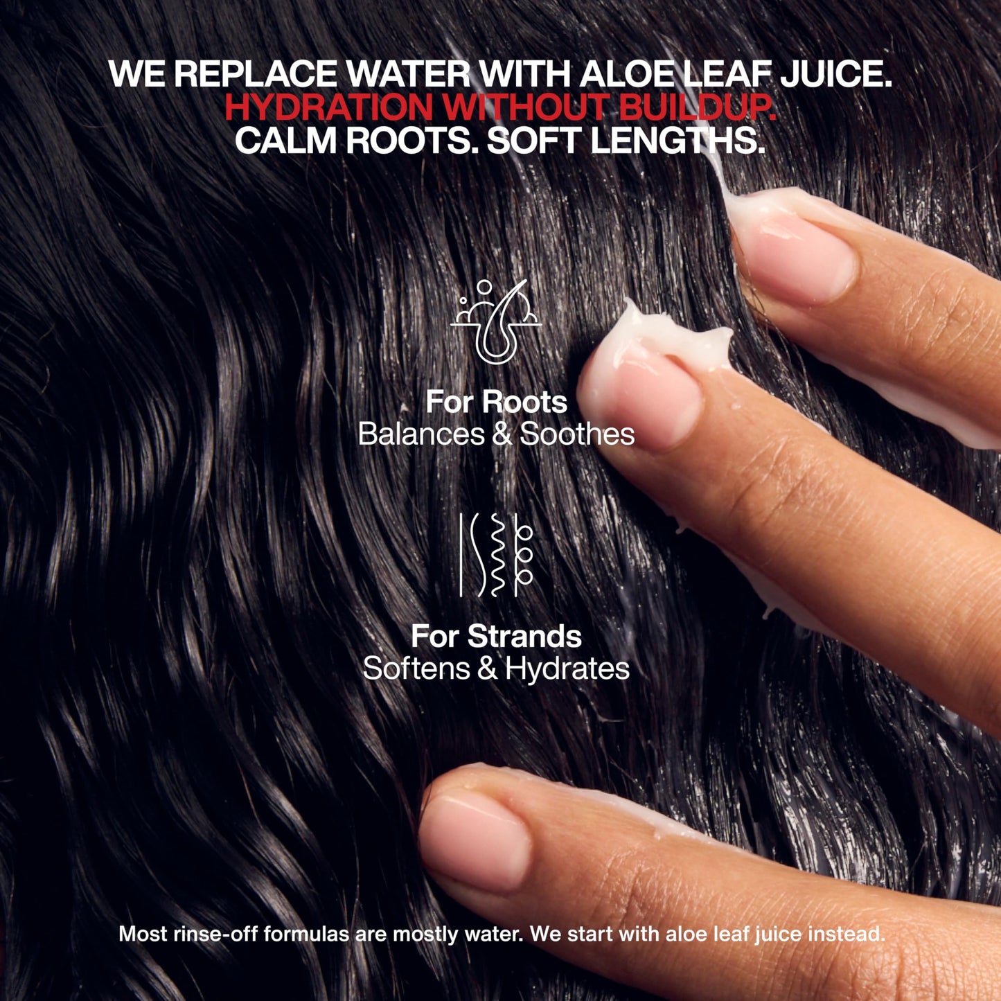 The Root Project The Rootine Trio Set, Includes Clean Canvas Shampoo, Instant Pleasure Conditioner, Power Smooth Hair Mask | Detoxifies Scalp, Hydrates Hair, Repairs and Smooths Cuticles