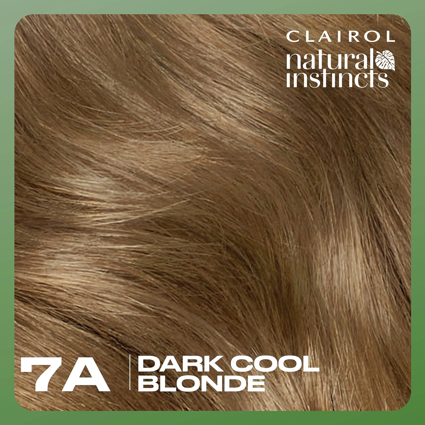 Clairol Natural Instincts Demi-Permanent Hair Dye, 7A Dark Cool Blonde | Ammonia‑Free, Vegan Hair Color with Coconut Oil & Aloe Vera | Pack of 1