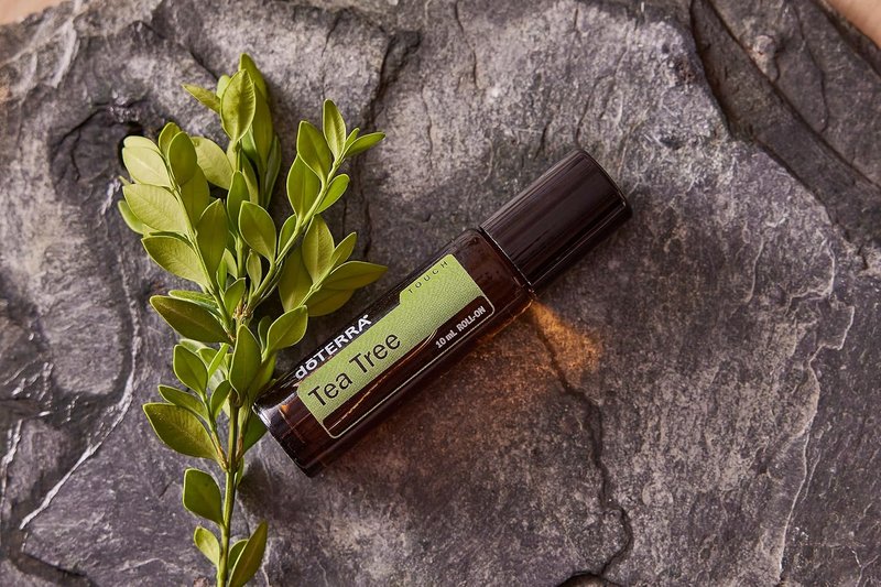 doTERRA Melaleuca (Tea Tree) Touch Essential Oil - 10 mL Roll-On for Skin Soothing & Wellness