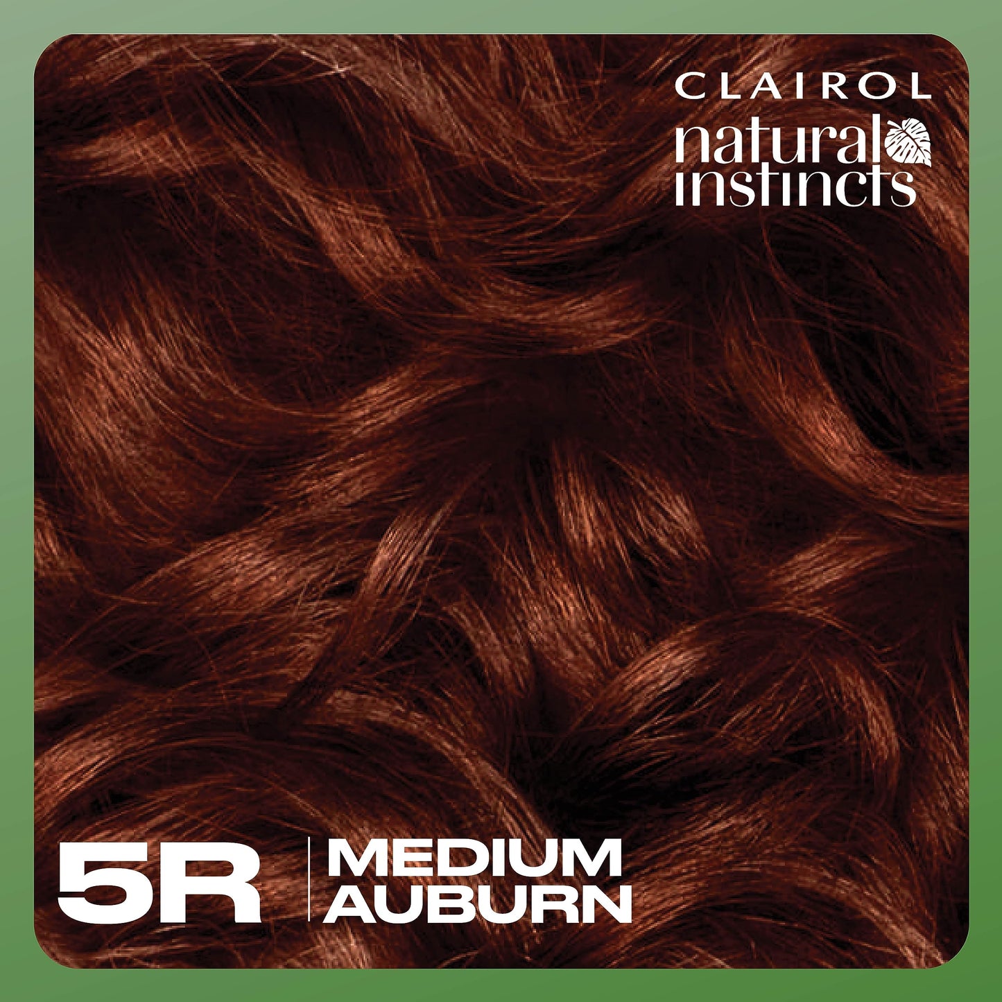 Clairol Natural Instincts Demi-Permanent Hair Dye, 5R Medium Auburn | Ammonia‑Free, Vegan Hair Color with Coconut Oil & Aloe Vera | Pack of 3