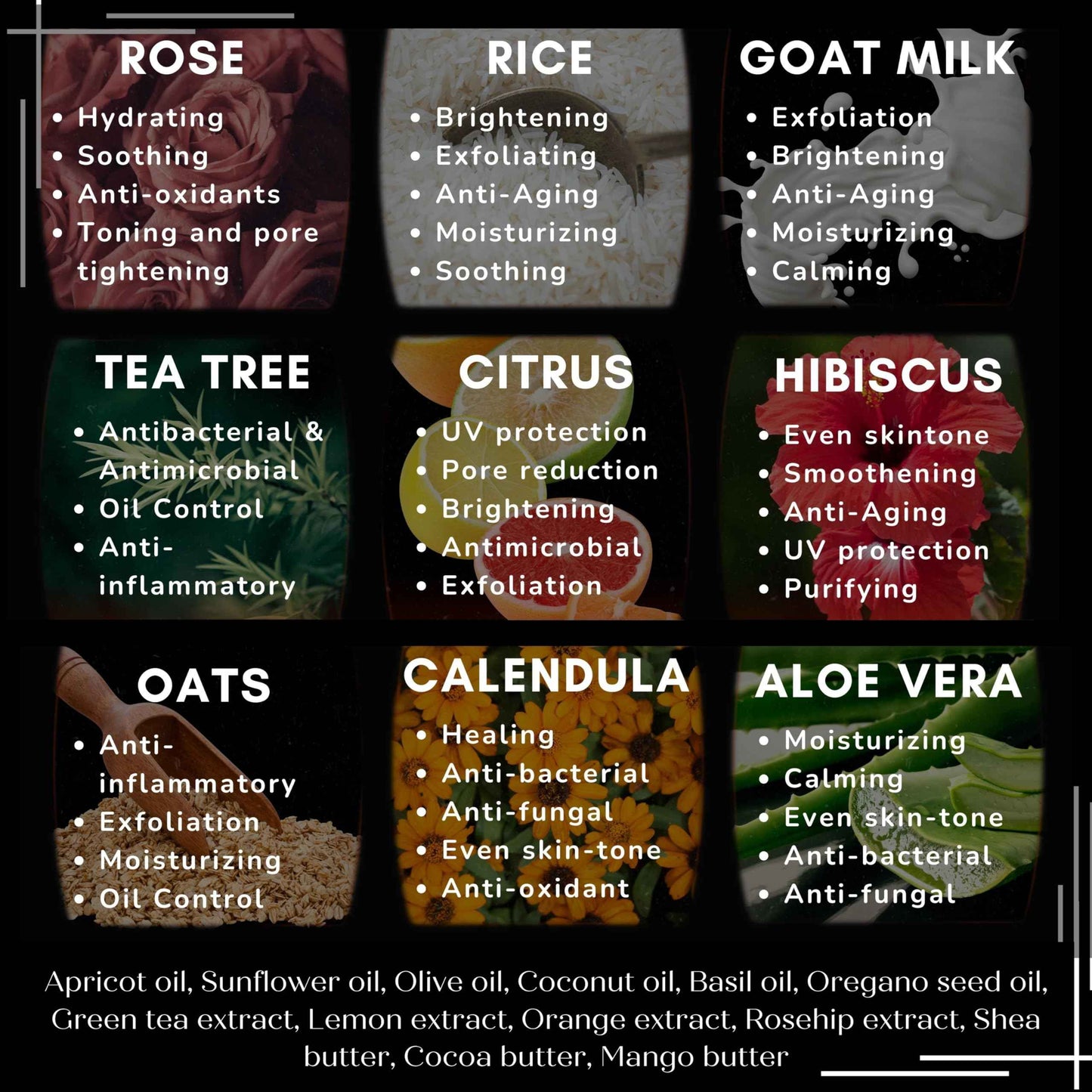 Petals and Pods Handmade Body & Face Exfoliating Bar Soap - Korean-inspired fermented rose & rice formula to Hydrate and Nourish Dry, Dull skin - Glass-Skin Miracle Cleanser (Face & Body Bar Soap)