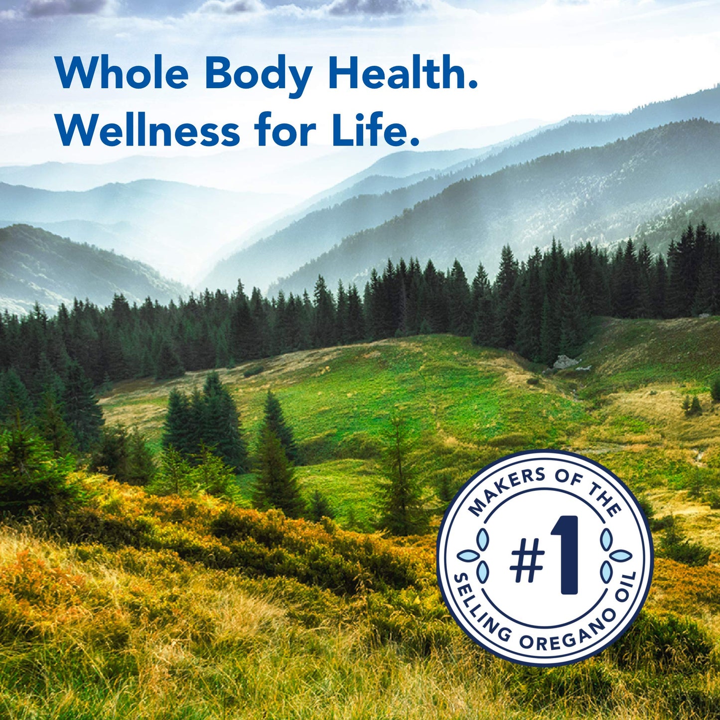 NORTH AMERICAN HERB & SPICE EssentiaClenz Waterless Soap - 8 fl oz - Cleans Wet & Dry Hands - With Essential Oils