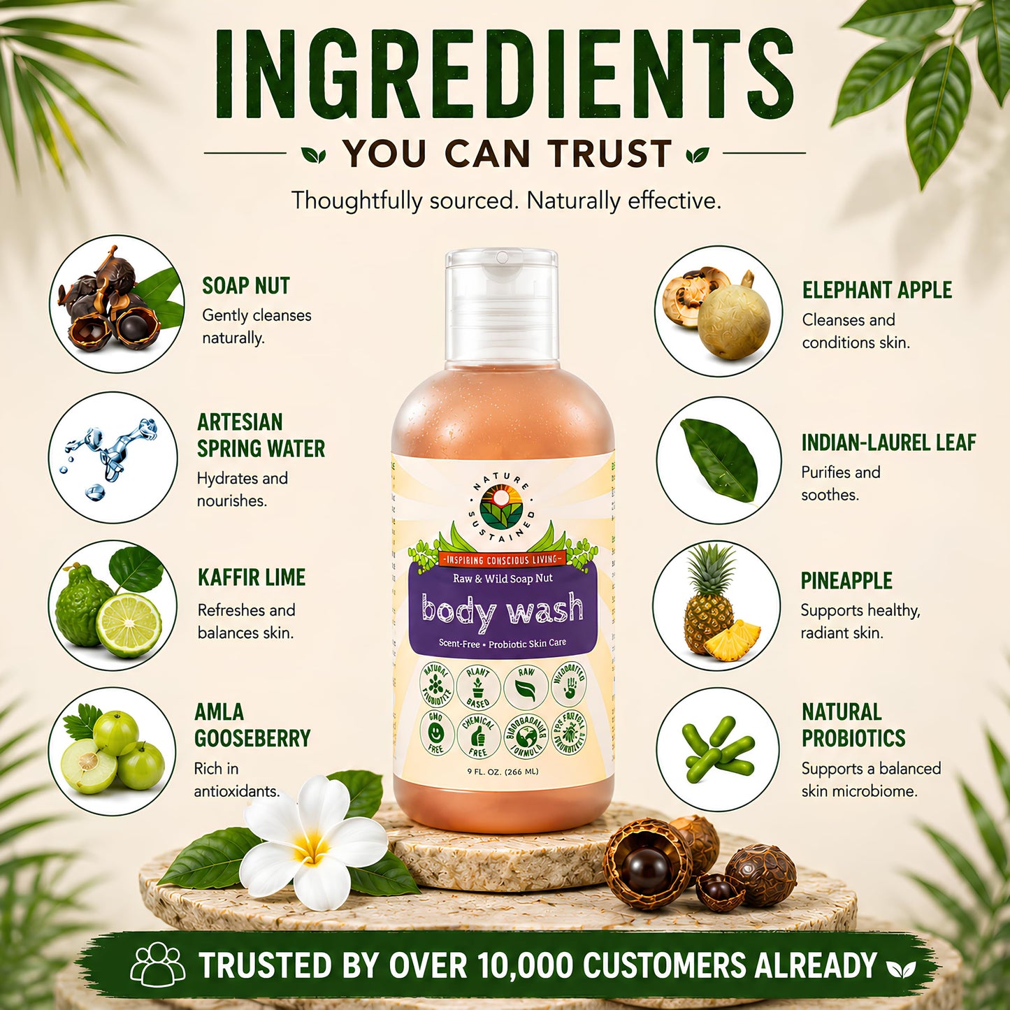 Nature Sustained Organic Body Wash & Face Wash – Raw & Wildcrafted with Probiotics, Soapberry Formula for Eczema & Psoriasis - Wild Plants Selected for Sensitive & Dry Skin, 9oz, Original