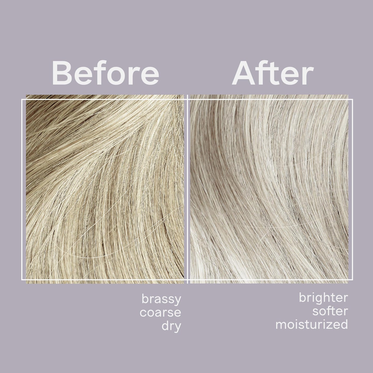 Jhirmack Silver Brightening Purple Shampoo Set of 4 for all types of silver, grey, and blonde hair