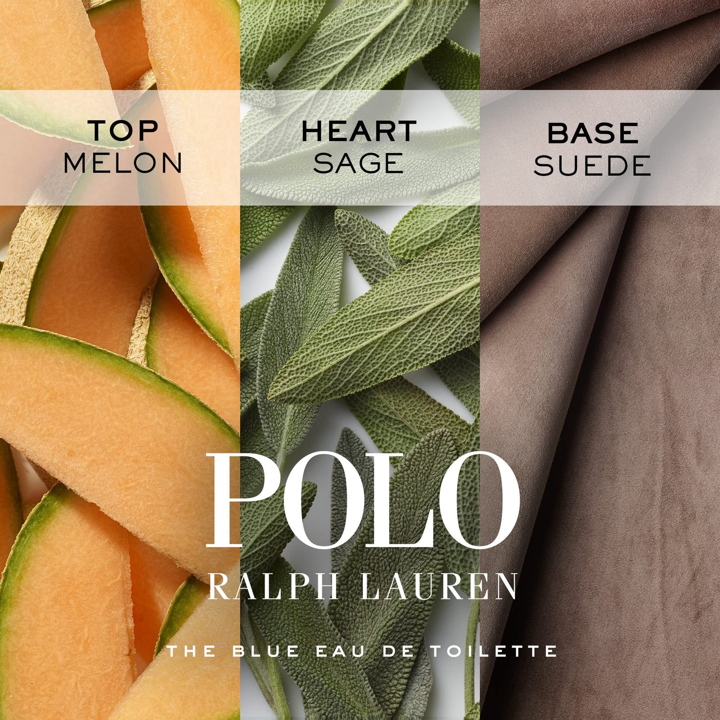 RALPH LAUREN FRAGRANCES Polo Blue - Eau de Toilette - Refill - Men's Cologne - Aquatic & Fresh - With Citrus, Sage, and Suede - Medium Intensity - 5.1 Fl Oz