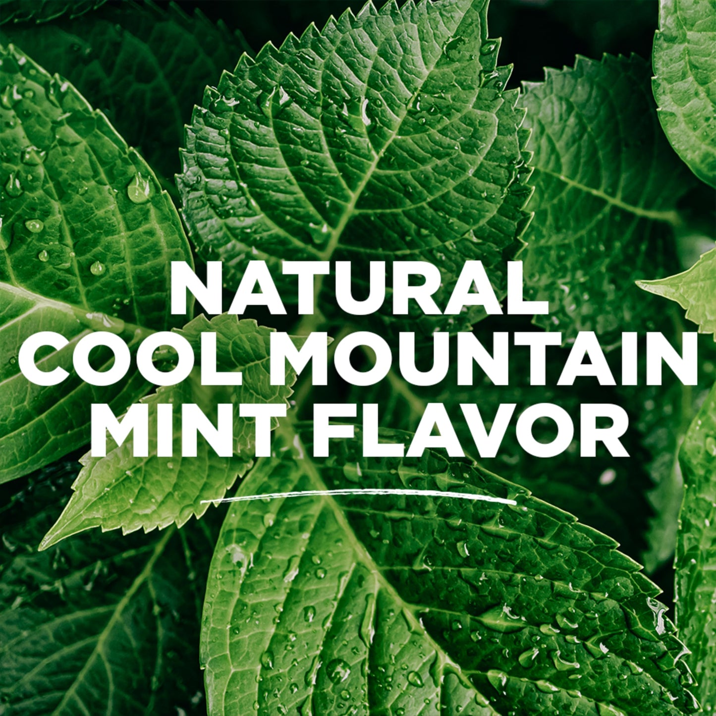 Tom's of Maine Natural Wicked Fresh Alcohol-Free Mouthwash, Cool Mountain Mint, 16 oz. 6-Pack (Packaging May Vary)